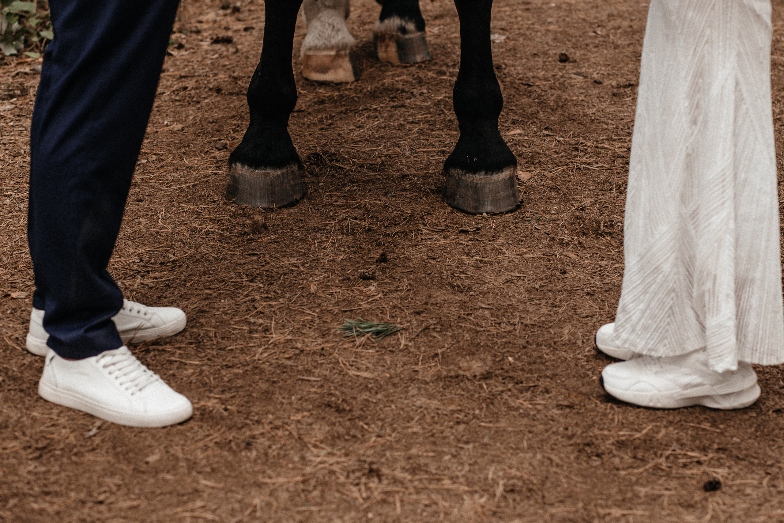 «Лесная сказка». Фотограф в Тамбове Ольга Мельникова