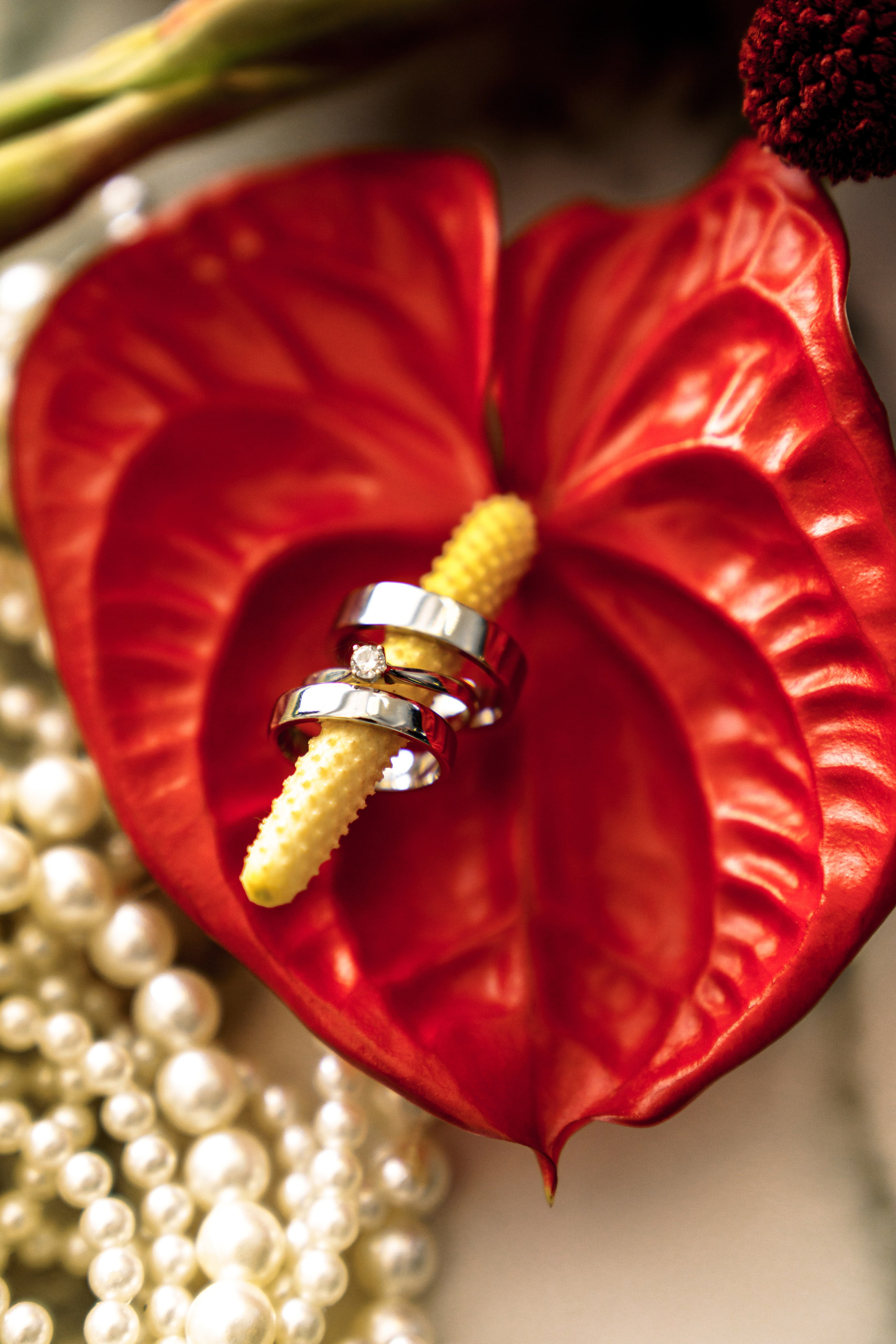 Свадебный фотограф в Ростове-на-Дону Саша Филатова