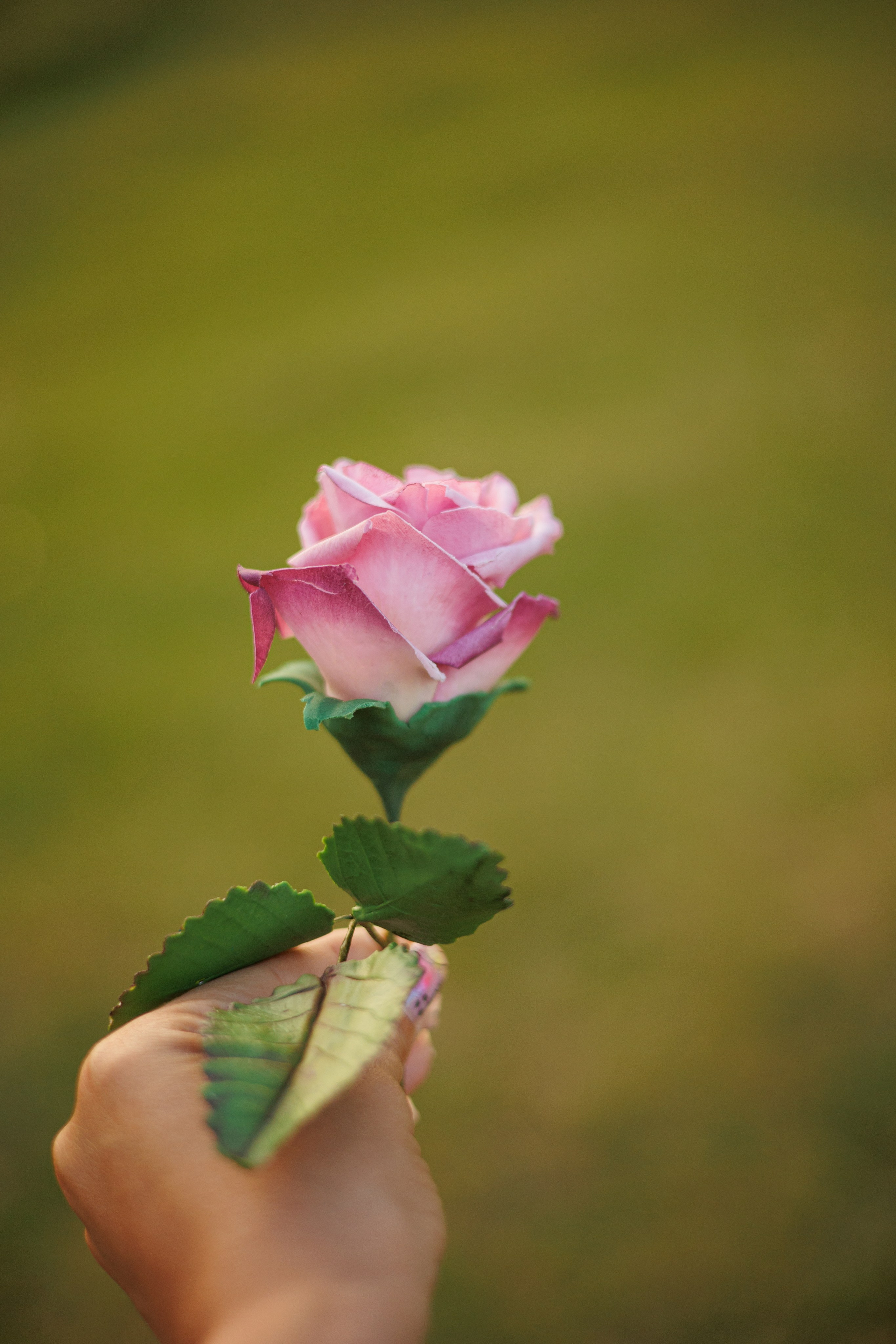 Серпухов Даша и Миша. Марковкина КрисТина