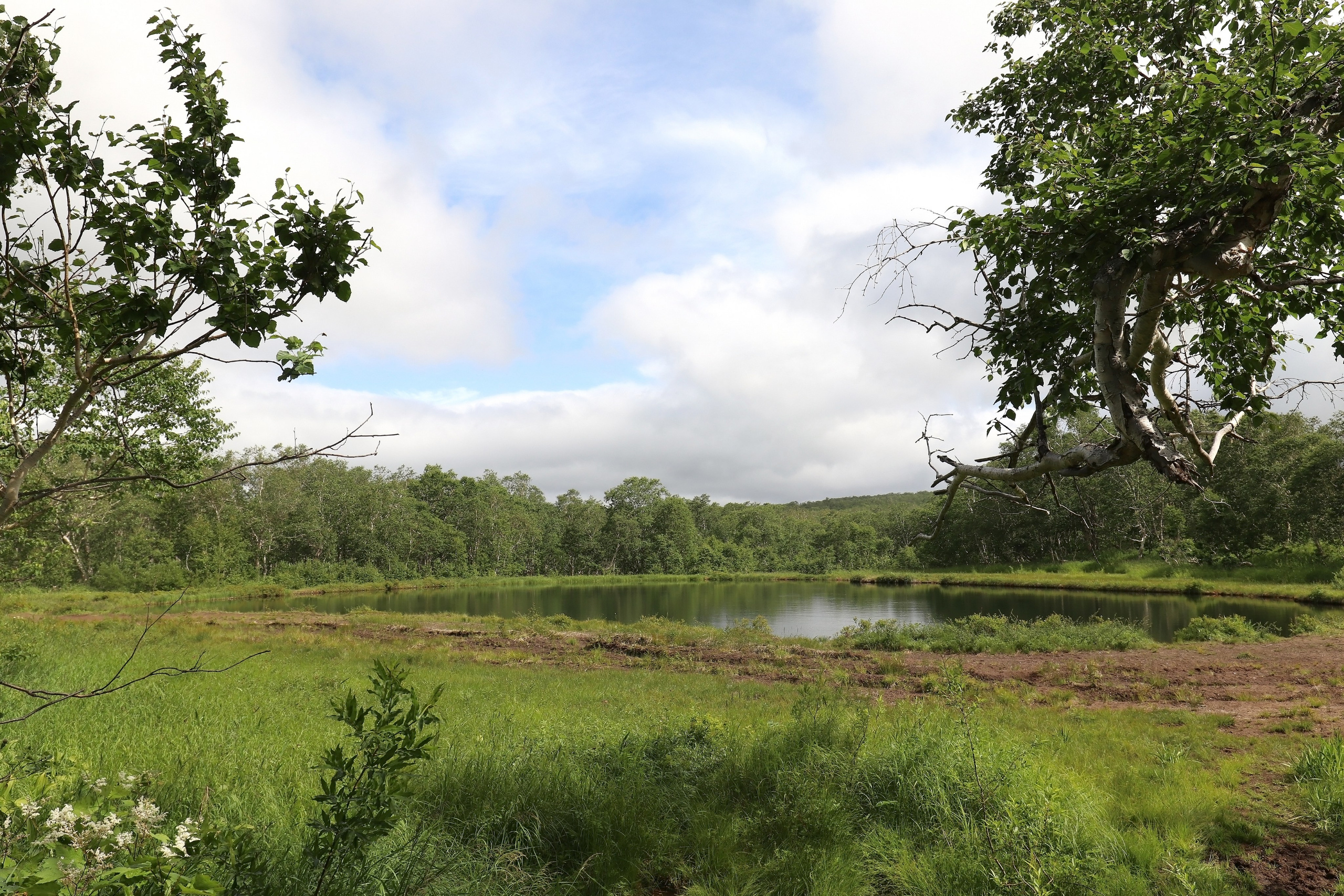 Камчатка и о. Парамушир. Июль 2024. Путешественник-фотограф из Санкт-Петербурга Татьяна Свистулина