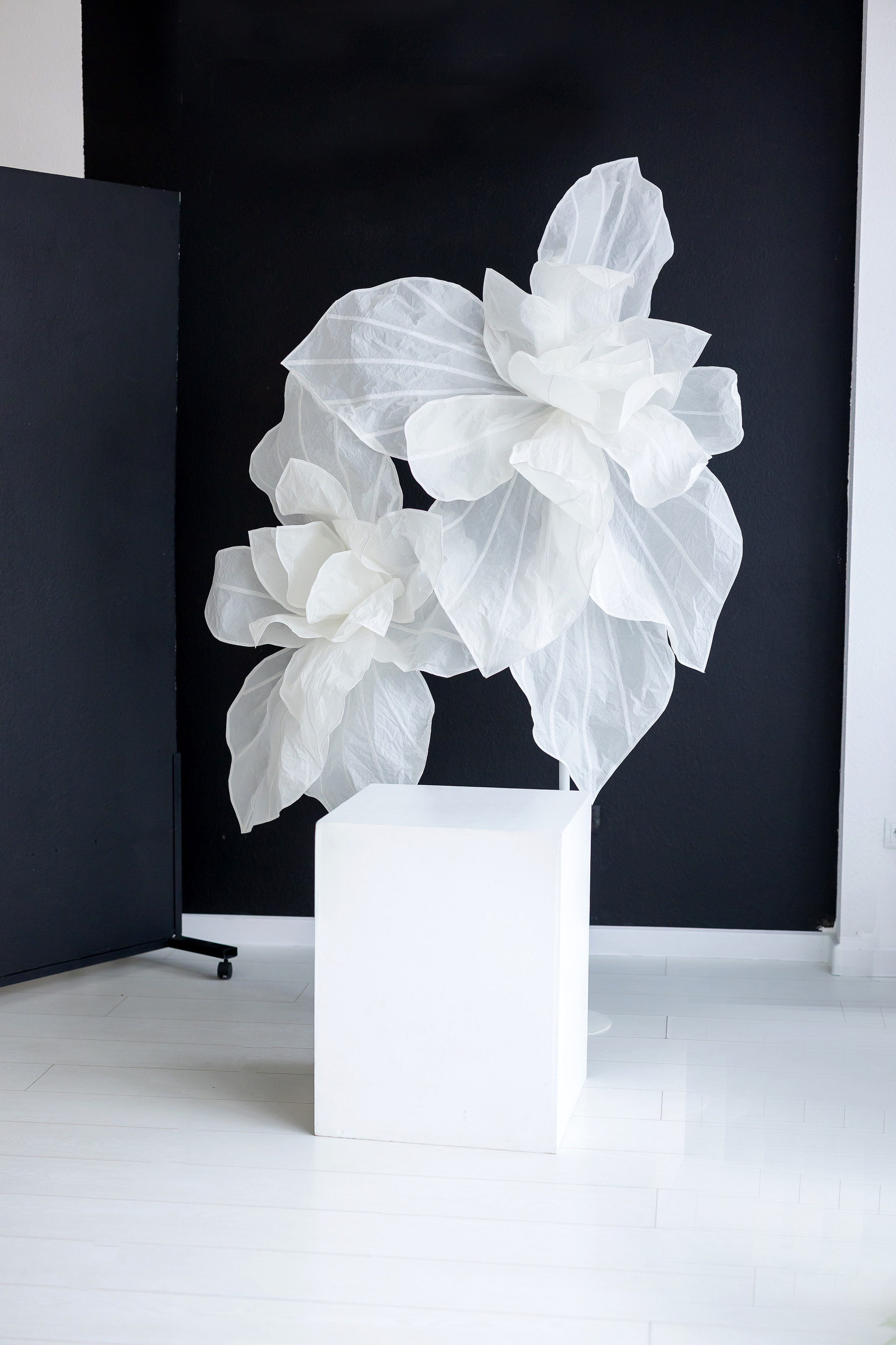 Фотостудия «AVOCADO» зал вайт. Свадебный фотограф в Ростове Александра Груздева