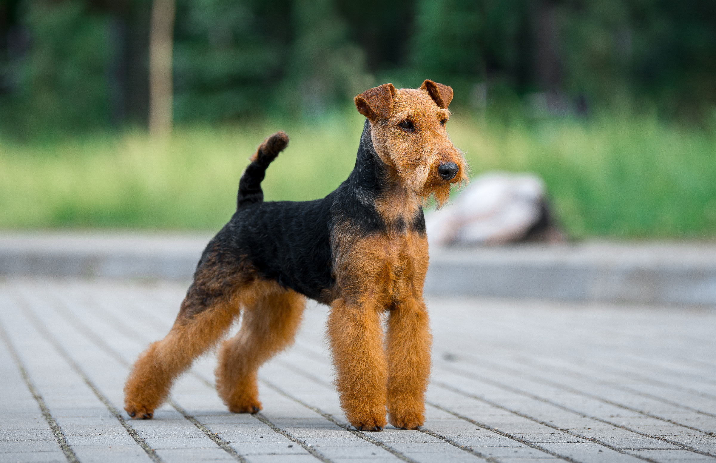 Лаиса Зернова. Фото школа, обучение фотографии в Калининграде