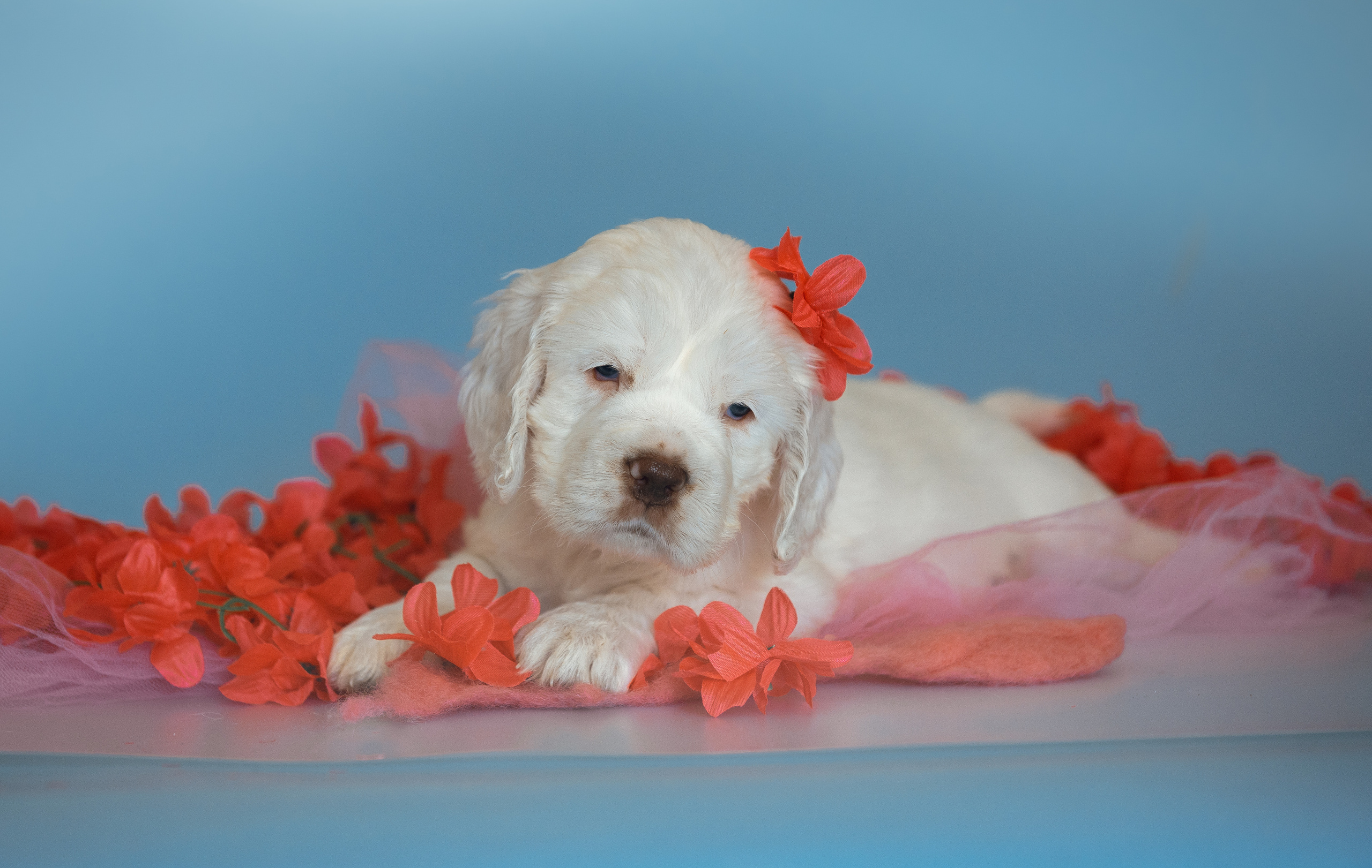 Лаиса Зернова. Фото школа, обучение фотографии в Калининграде