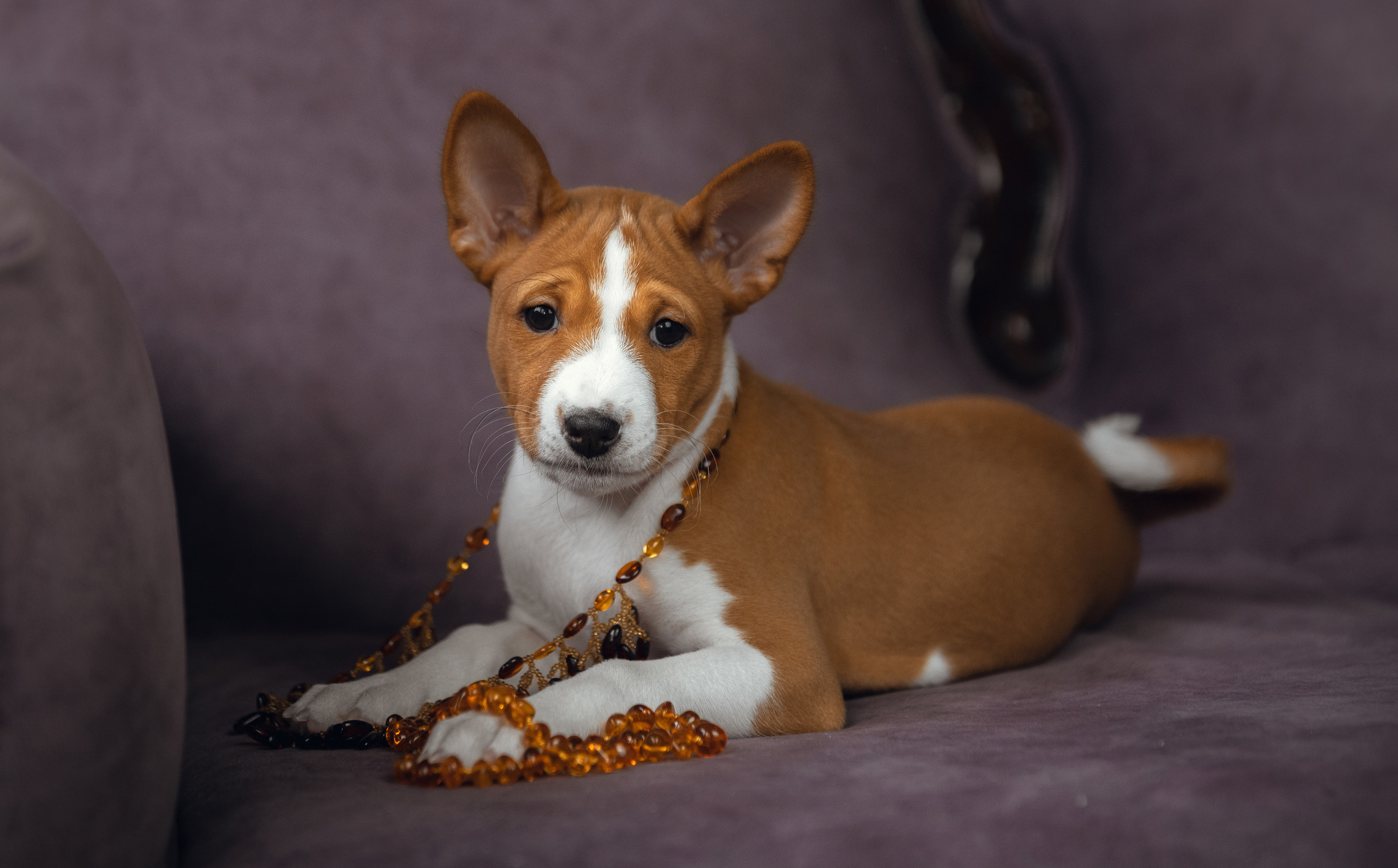 Лаиса Зернова. Фото школа, обучение фотографии в Калининграде