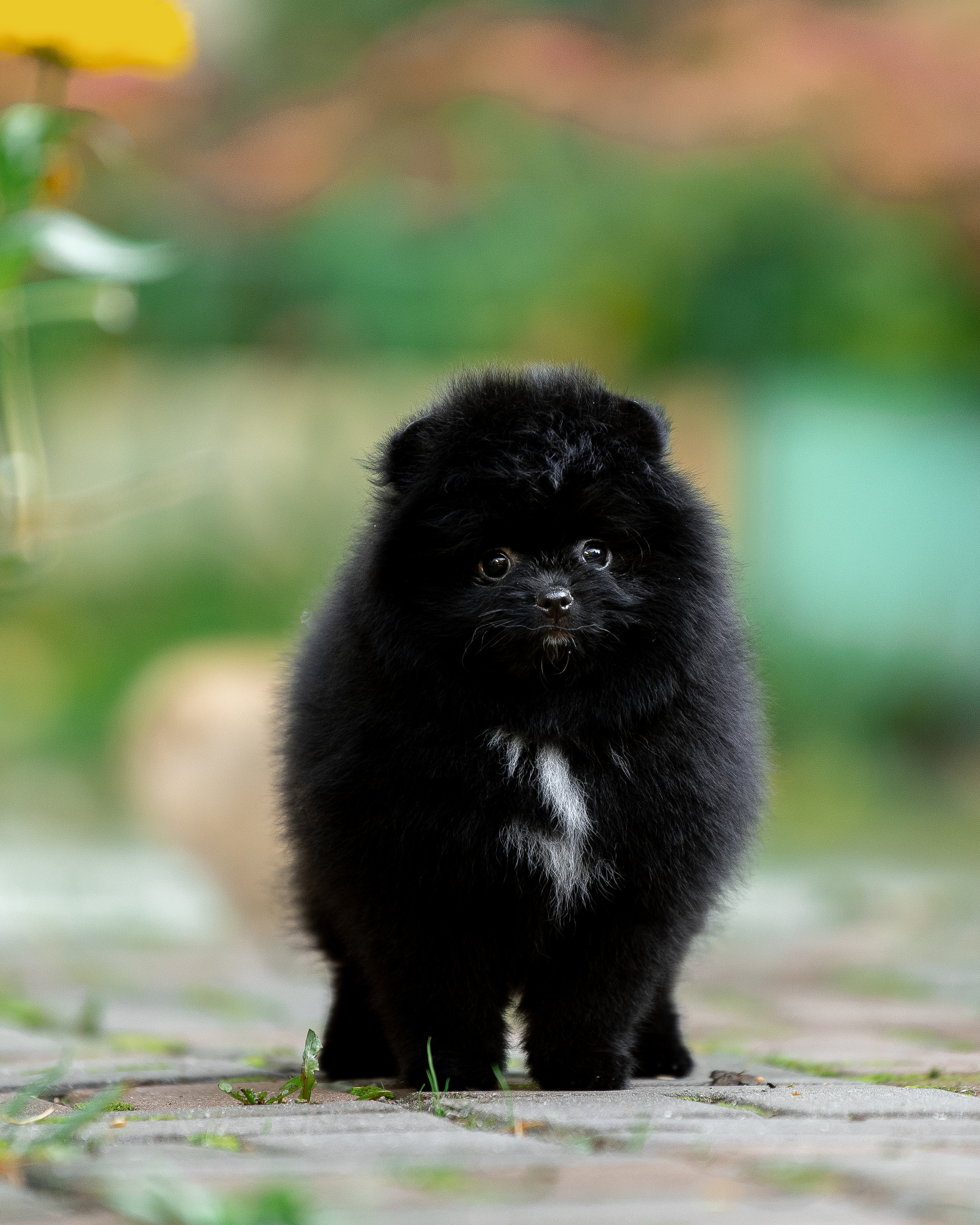 Лаиса Зернова. Фото школа, обучение фотографии в Калининграде