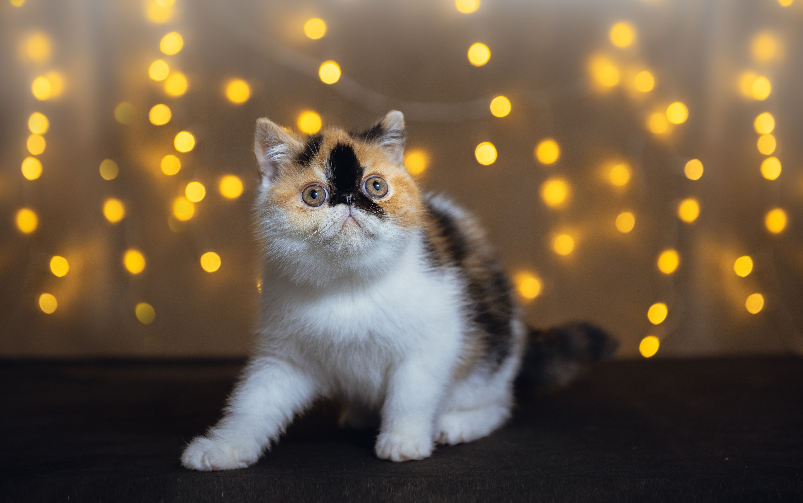 Лаиса Зернова. Фото школа, обучение фотографии в Калининграде