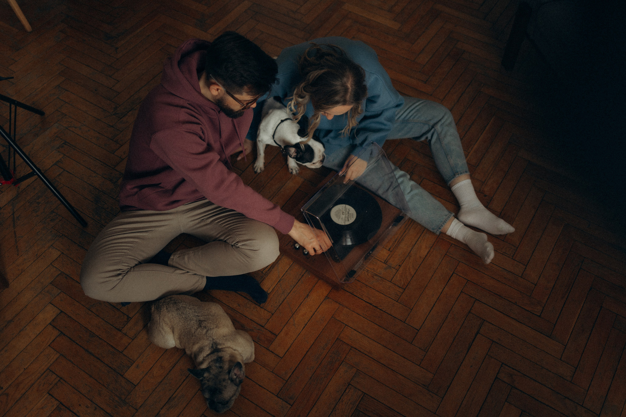 Зефирка, Булка и их Ро. Фотораф — анималист Мария Шистка