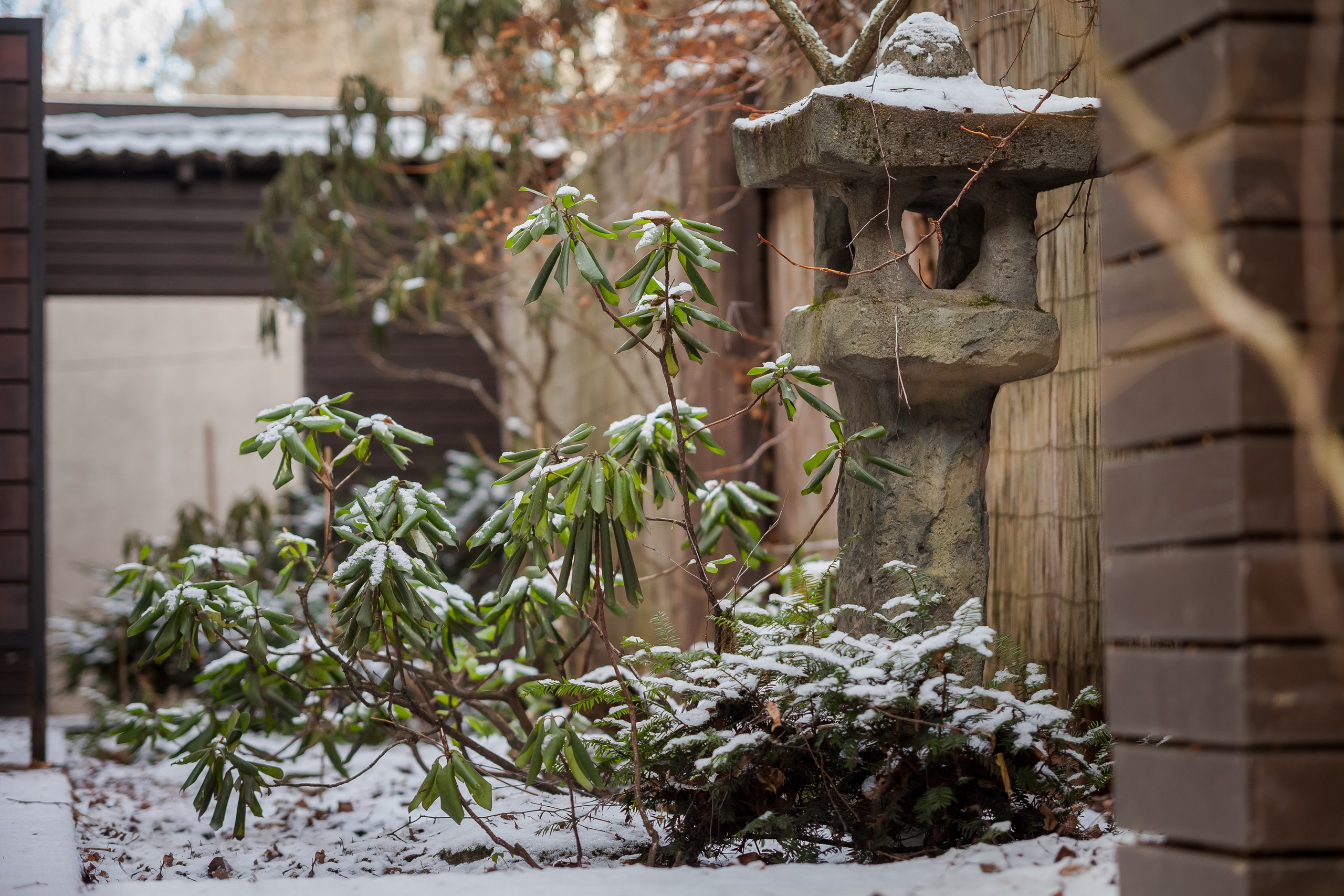 Спящий сад, Елены Асташкиной. Туманов Виталий — фотограф Москва