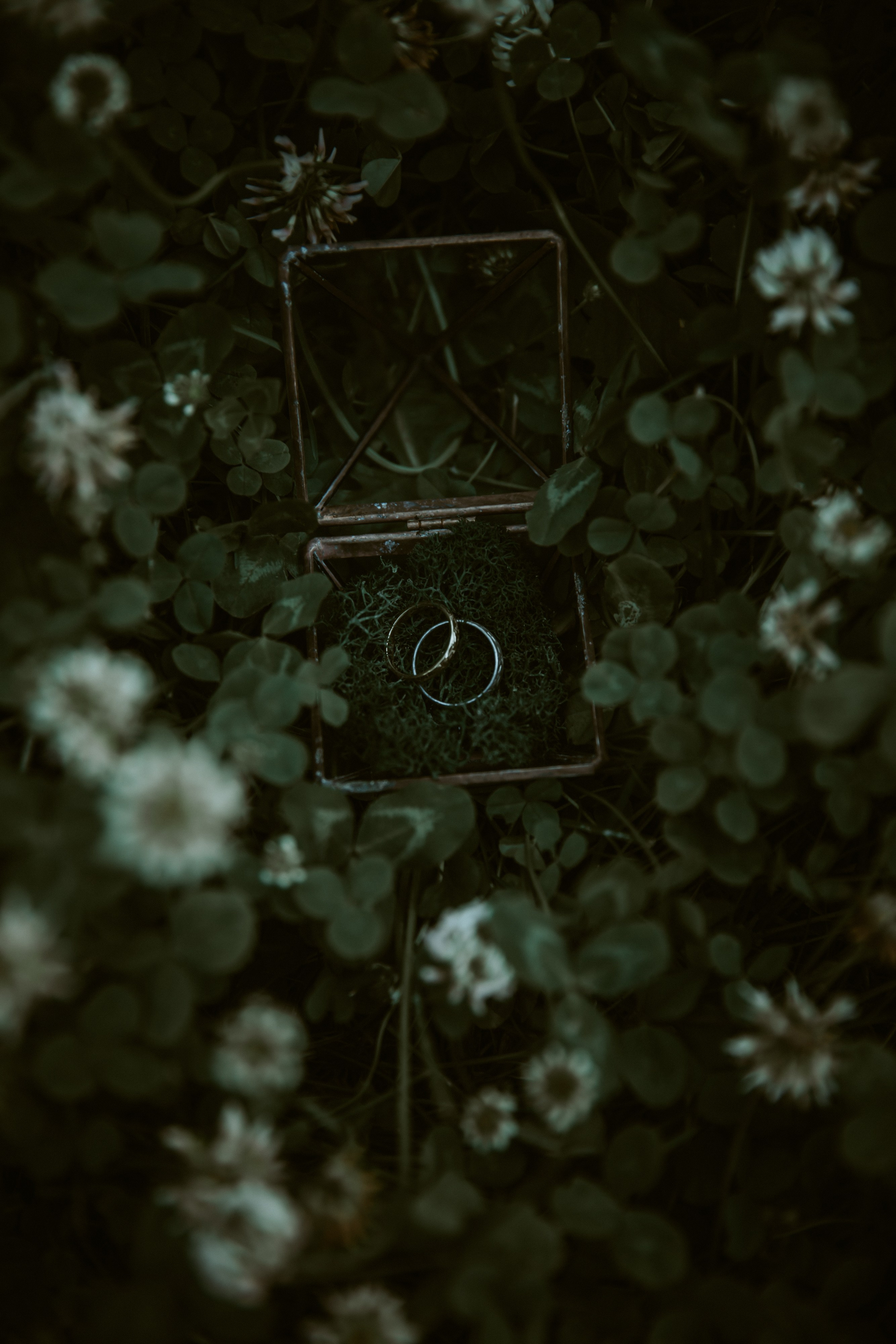 Дима и Александра. Свадебный фотограф Кирьянов Максим. Фотографирую в Москве, Коломне, Со