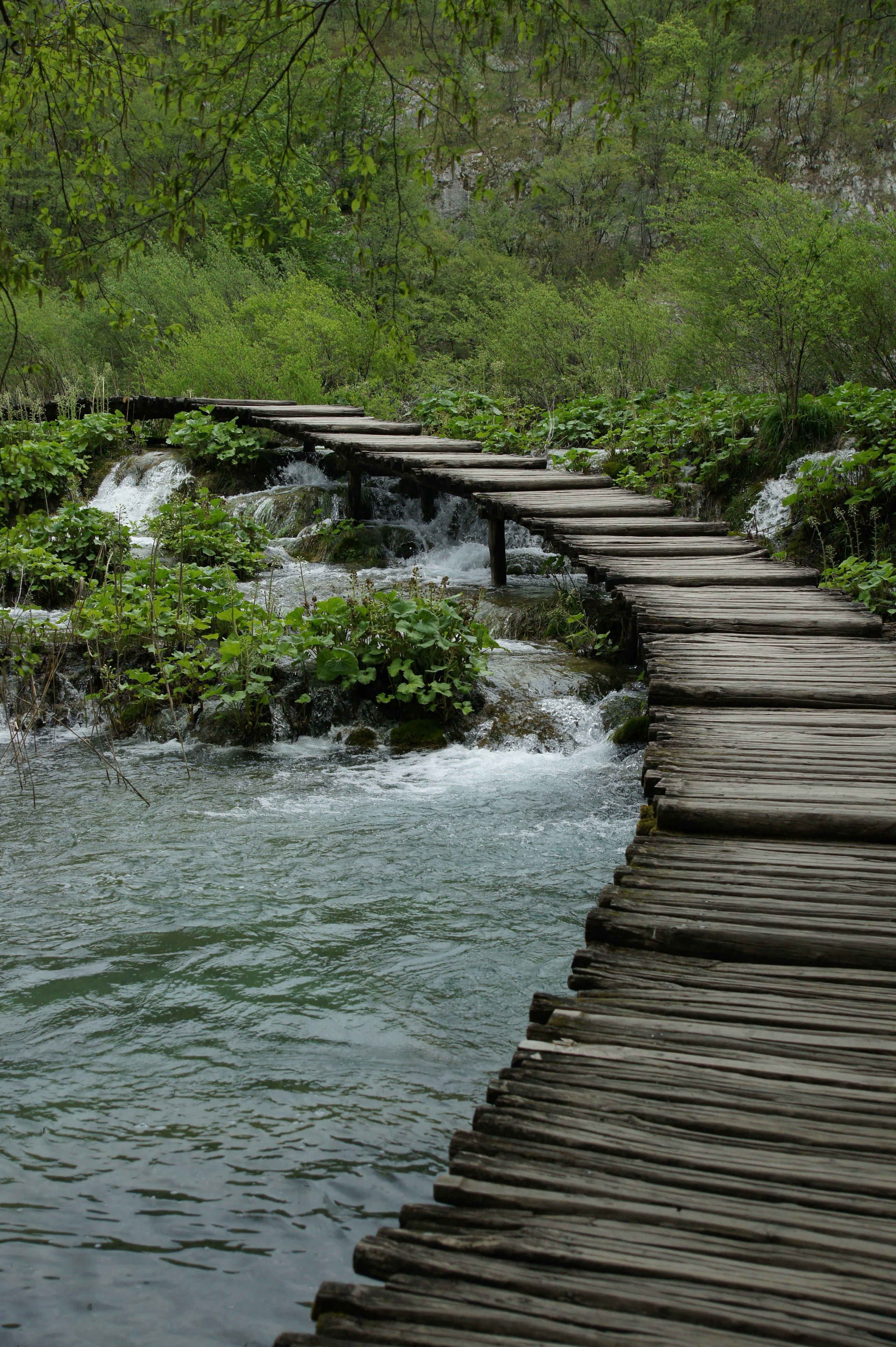Хорватия. Главная