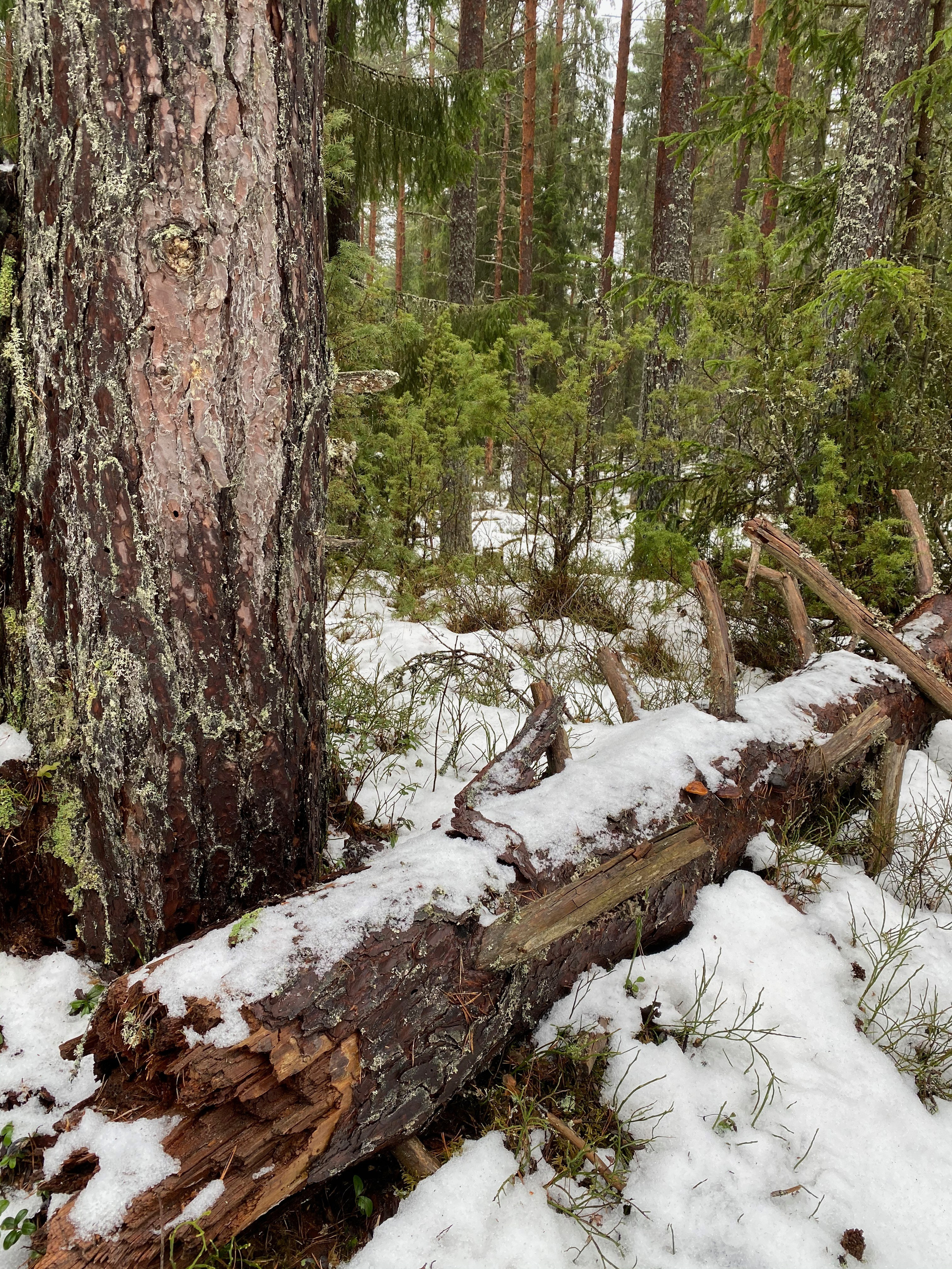 Вокруг Селигера-20. Своя Мастерская