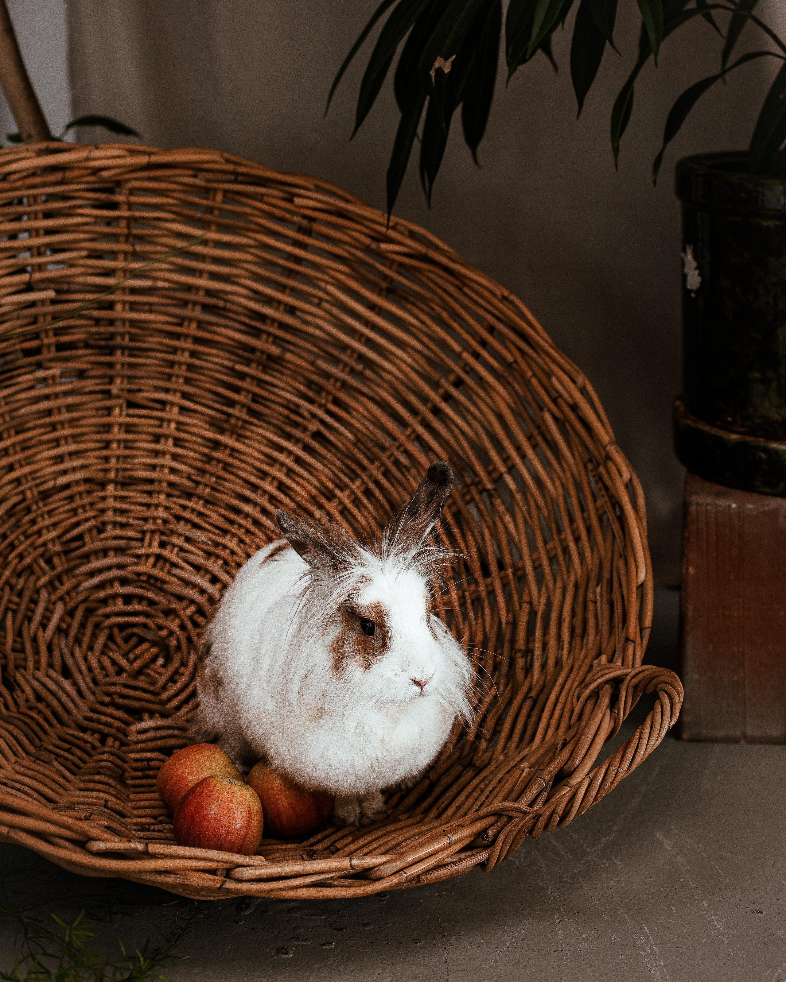 Алина. Ксения Цыз. Женский портретный фотограф в городе Екатеринбург