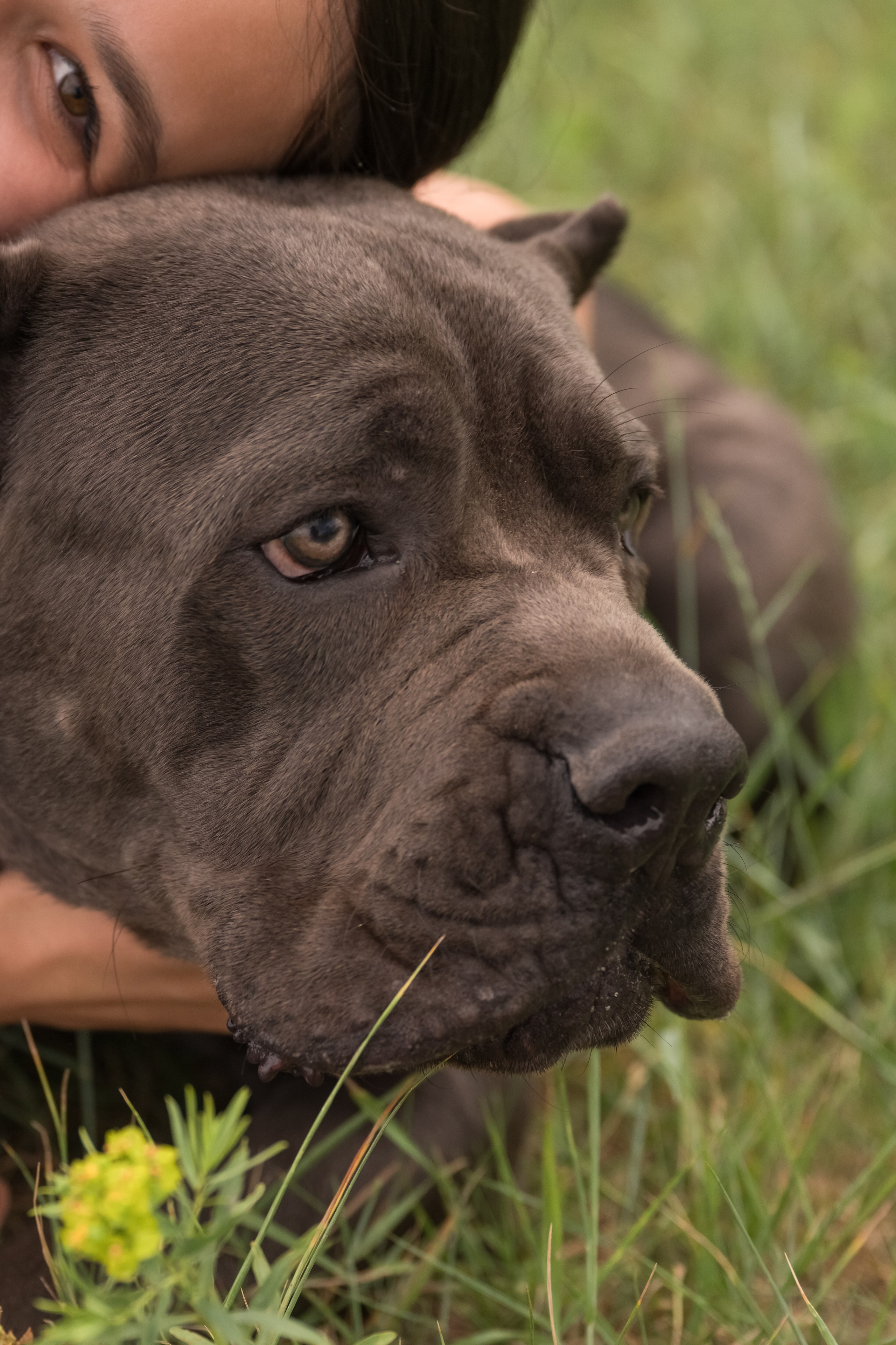 Дина, Яна и Лео. Фотограф Саратов Юлия Петрова