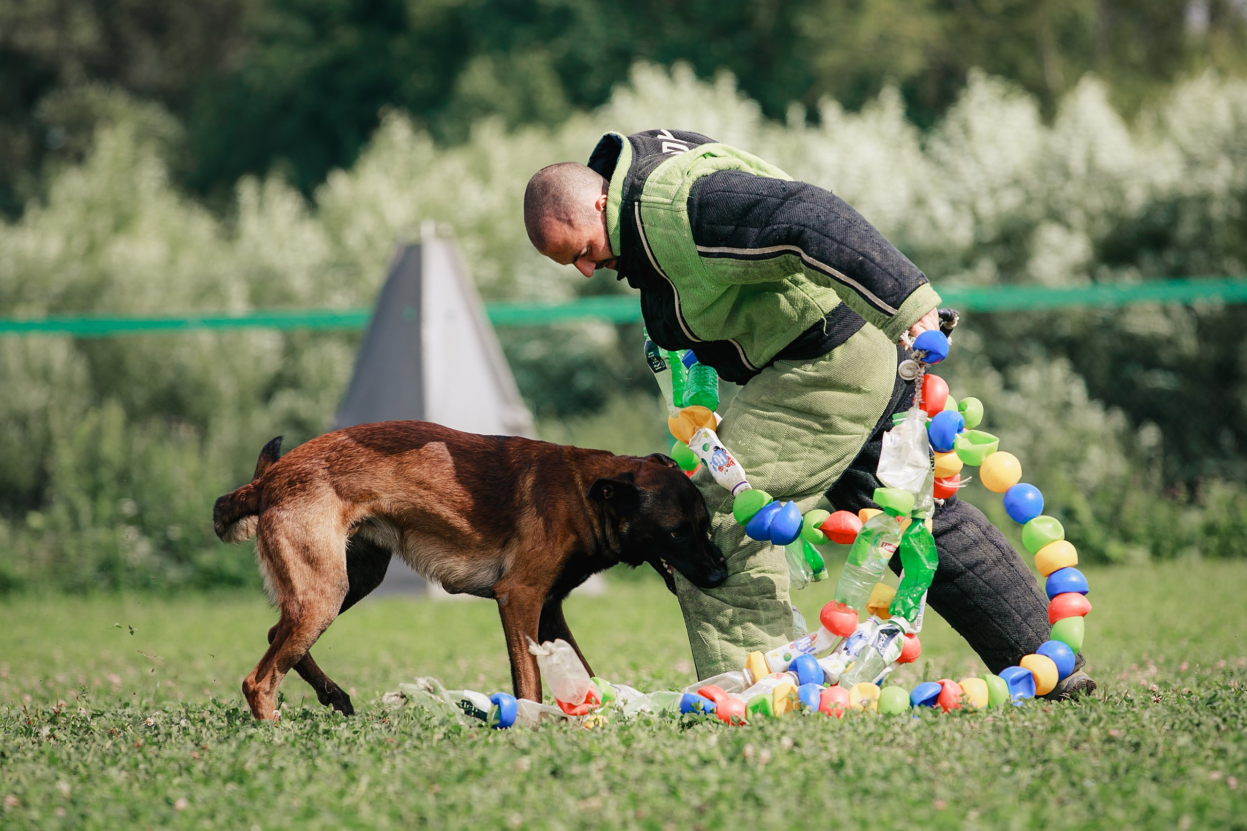 Мондьоринг М1, М2, М3, Вологда. Фотограф-анималист Mary Mart — Москва, Питер
