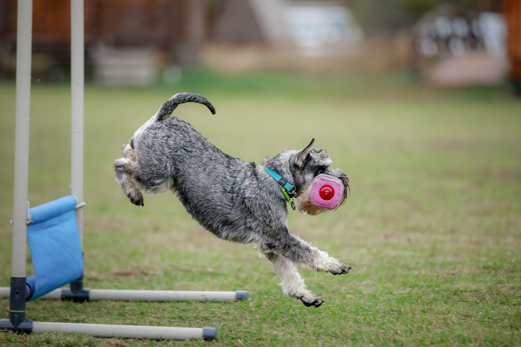 Лагерь по ОБД с Инной Баженовой. Фотограф-анималист Mary Mart — Москва, Питер