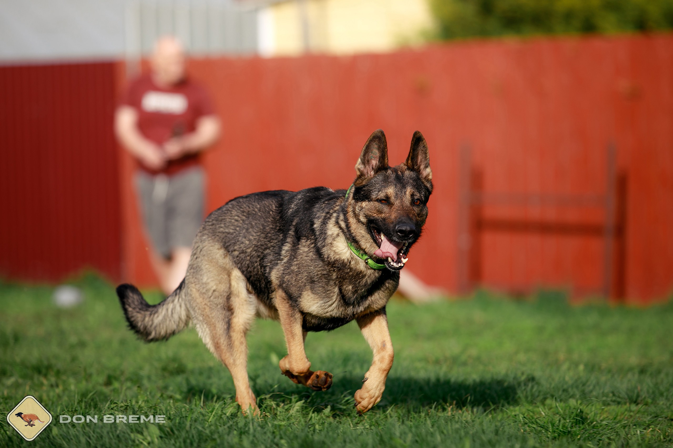 Семинар для фигурантов, день 2. Фотограф-анималист Mary Mart — Москва, Питер