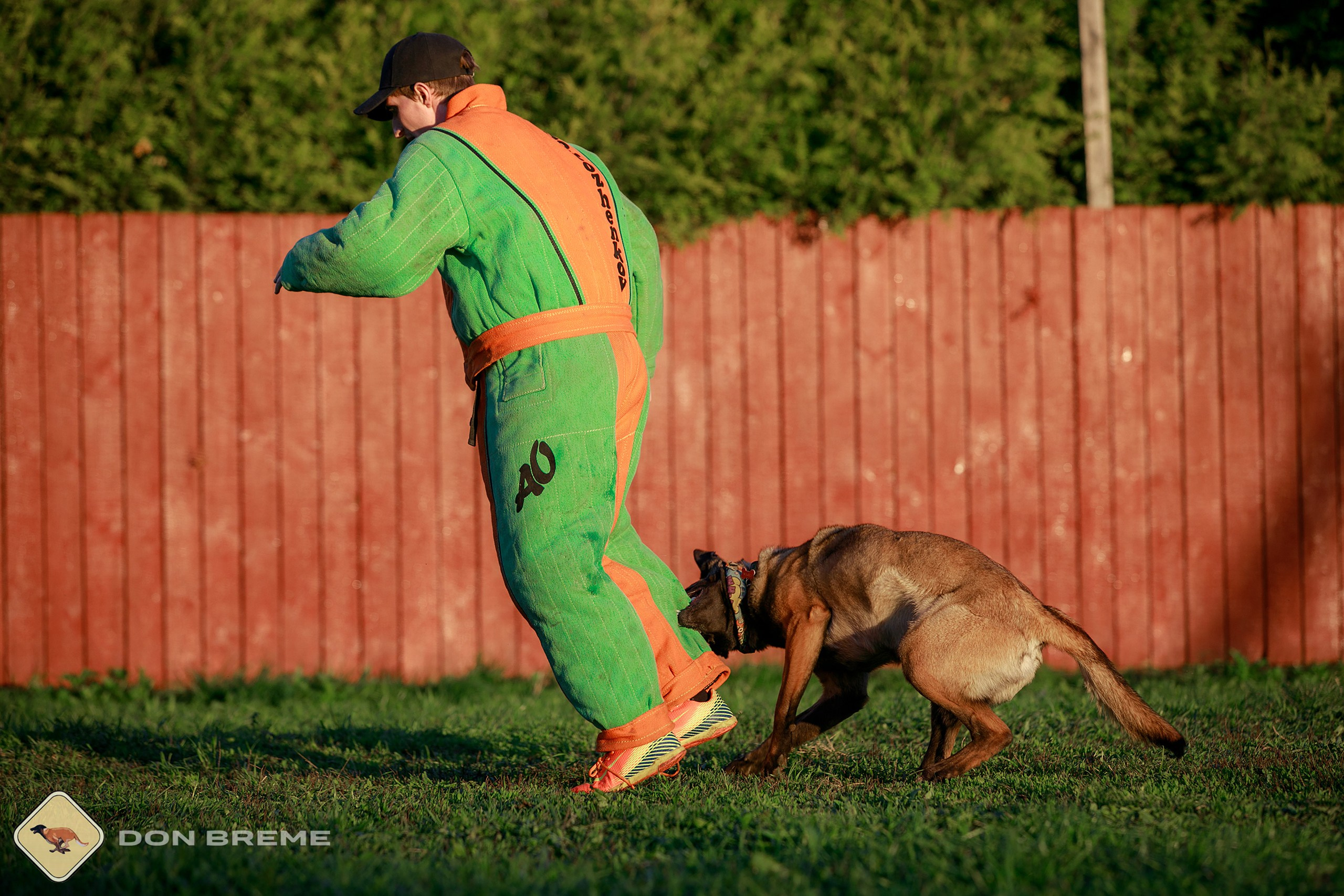 Семинар для фигурантов, день 3. Фотограф-анималист Mary Mart — Москва, Питер