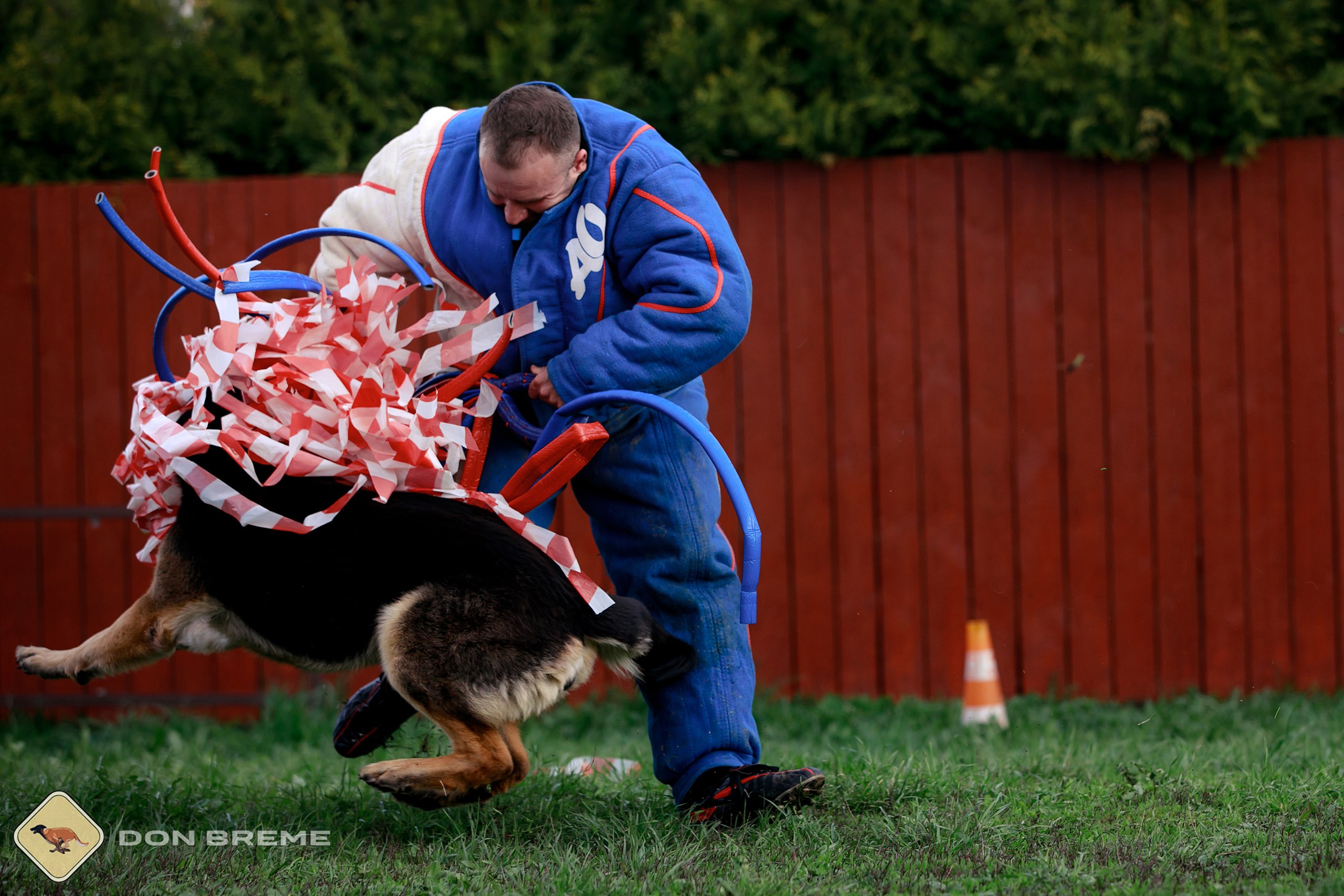 Семинар для фигурантов, день 2. Фотограф-анималист Mary Mart — Москва, Питер