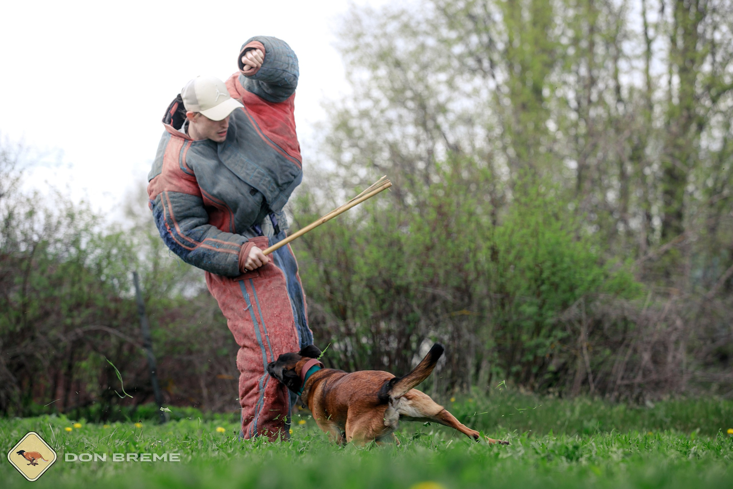 Семинар для фигурантов, день 2. Фотограф-анималист Mary Mart — Москва, Питер