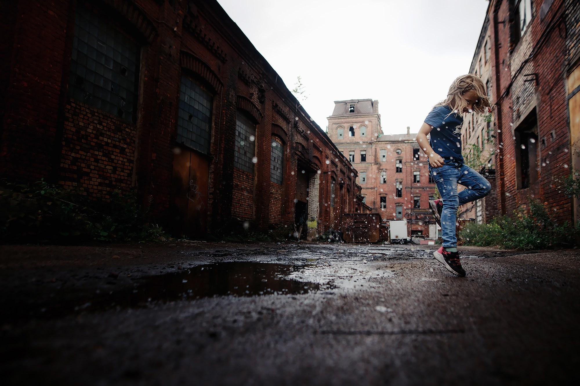 Саша, Маша и шипперке Йети. Фотограф-анималист Mary Mart — Москва, Питер