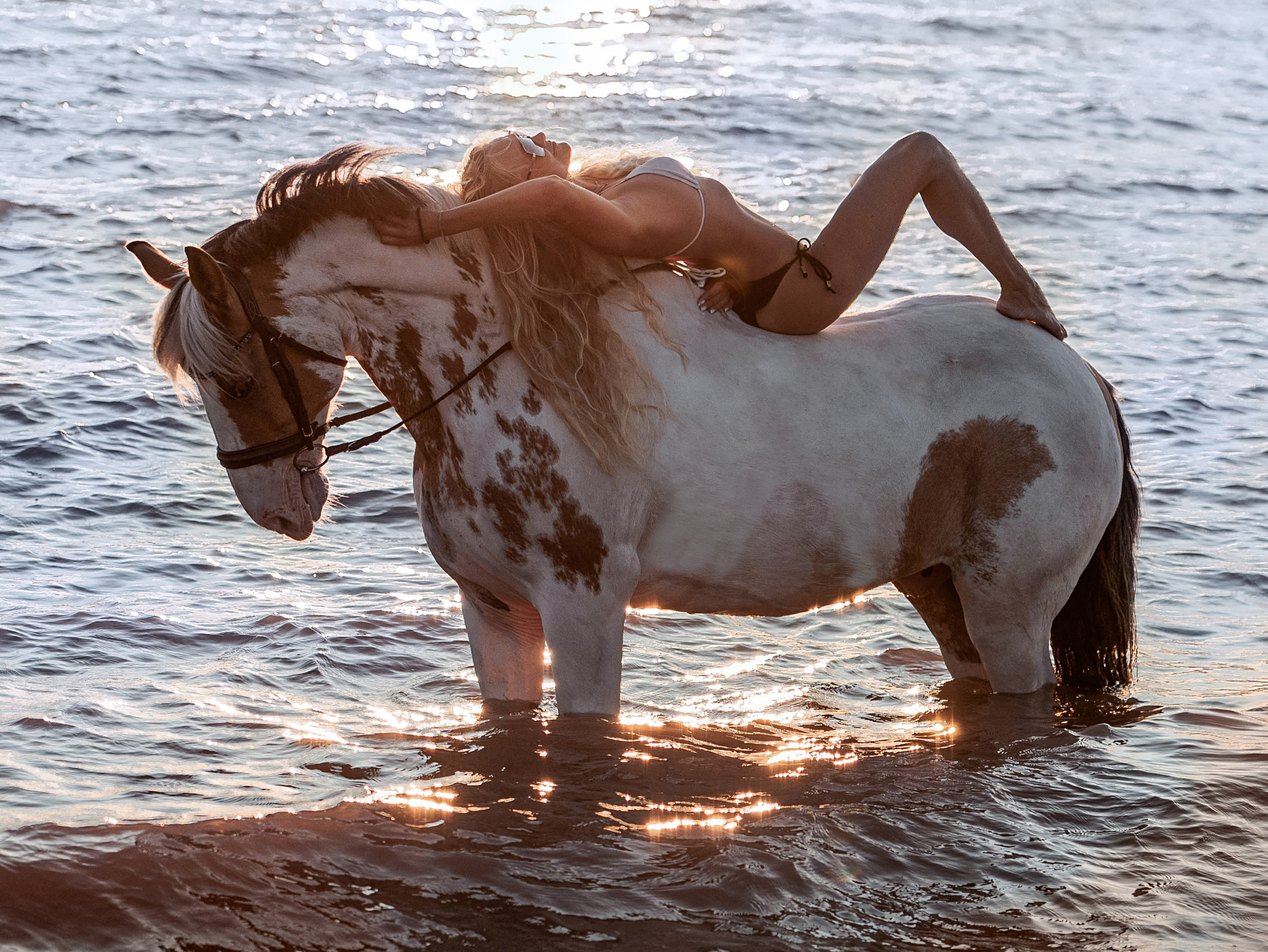 Съемки в воде 2025. Конный фотограф в Красноярске — Любовь Похабова
