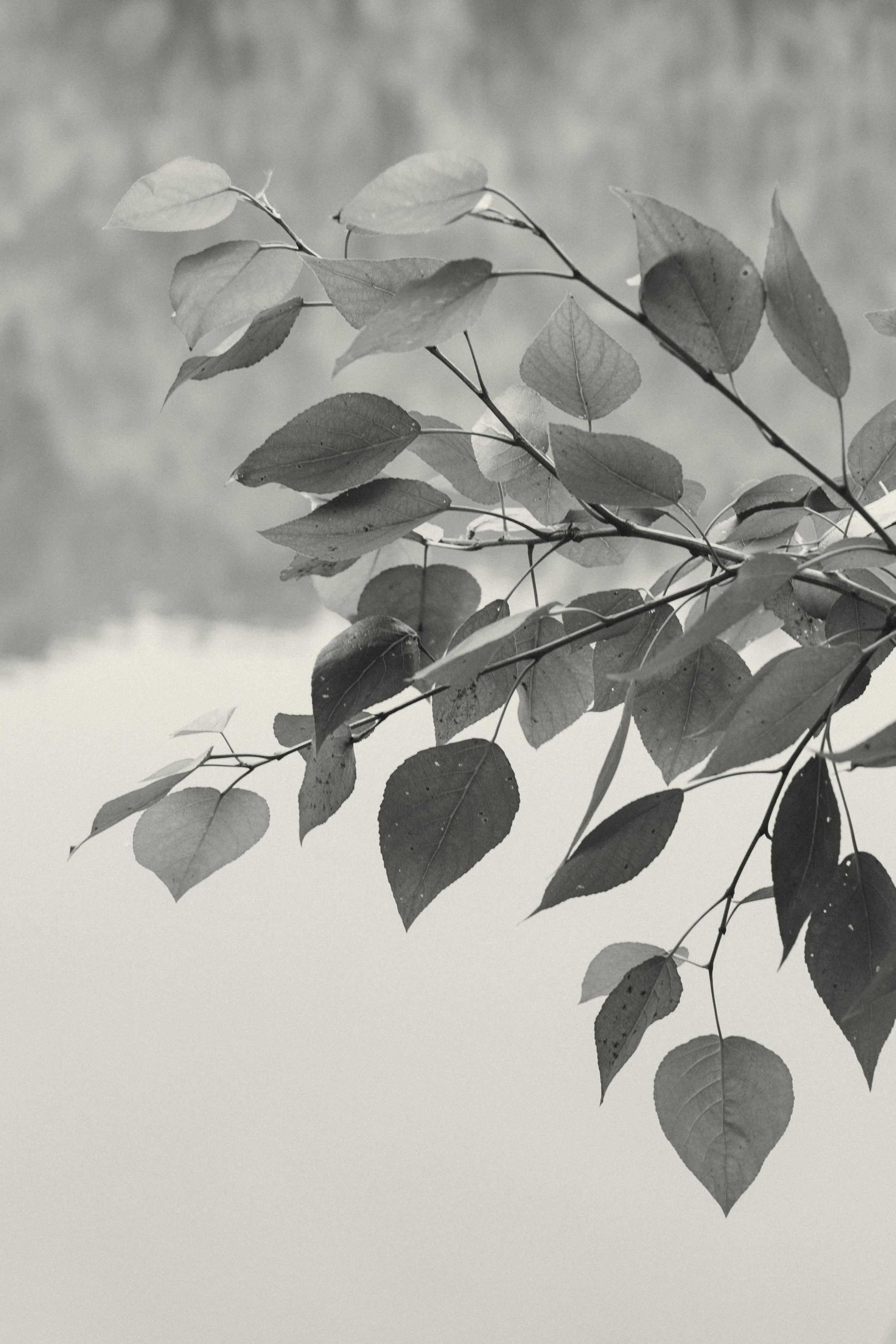 Alesya. Film Photographer in Da Nang, Vietnam — Tanya Parfenteva