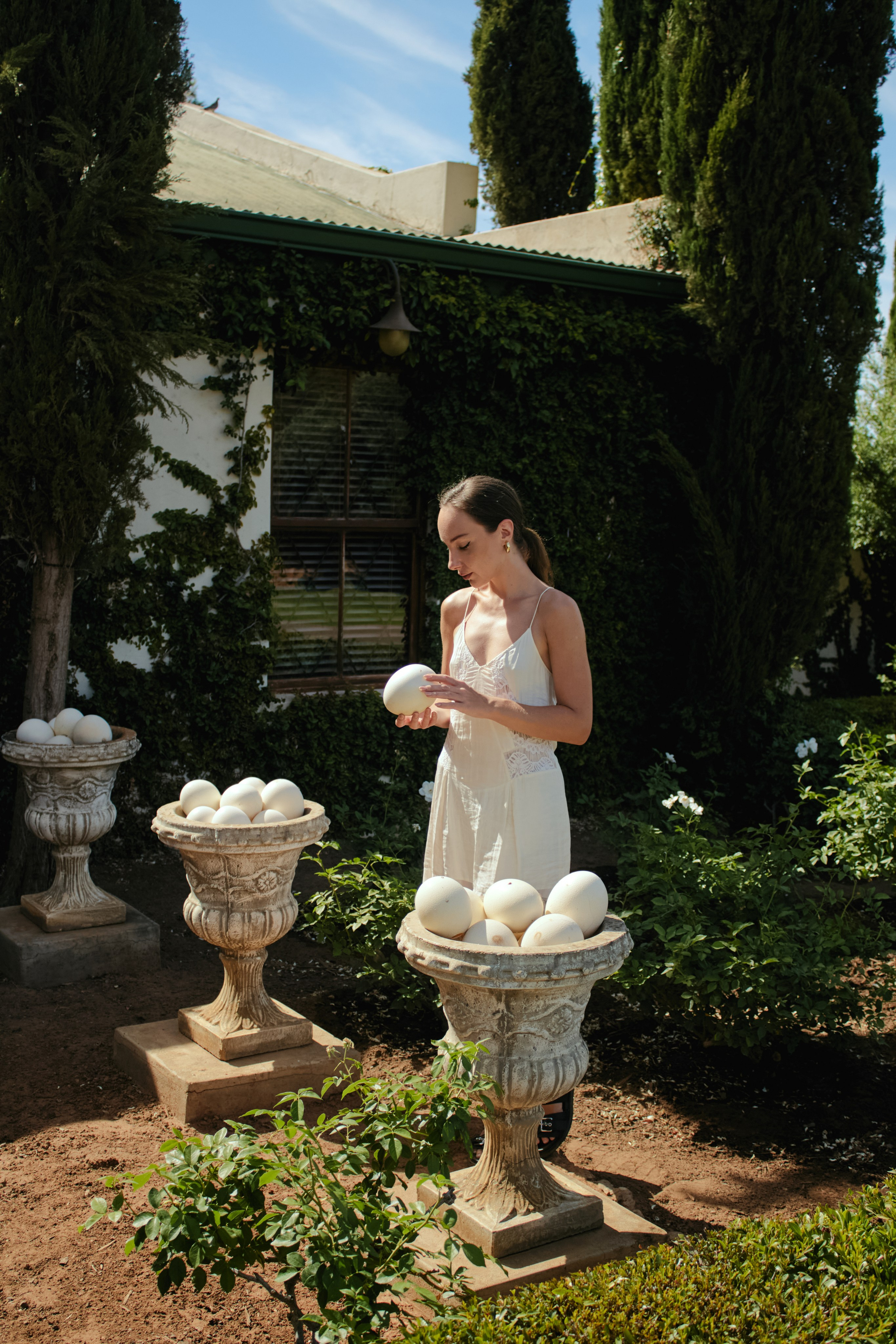 ЮАР. Профессиональный Фотограф во Владимире, в Москве и в Суздале — Полина Романычева