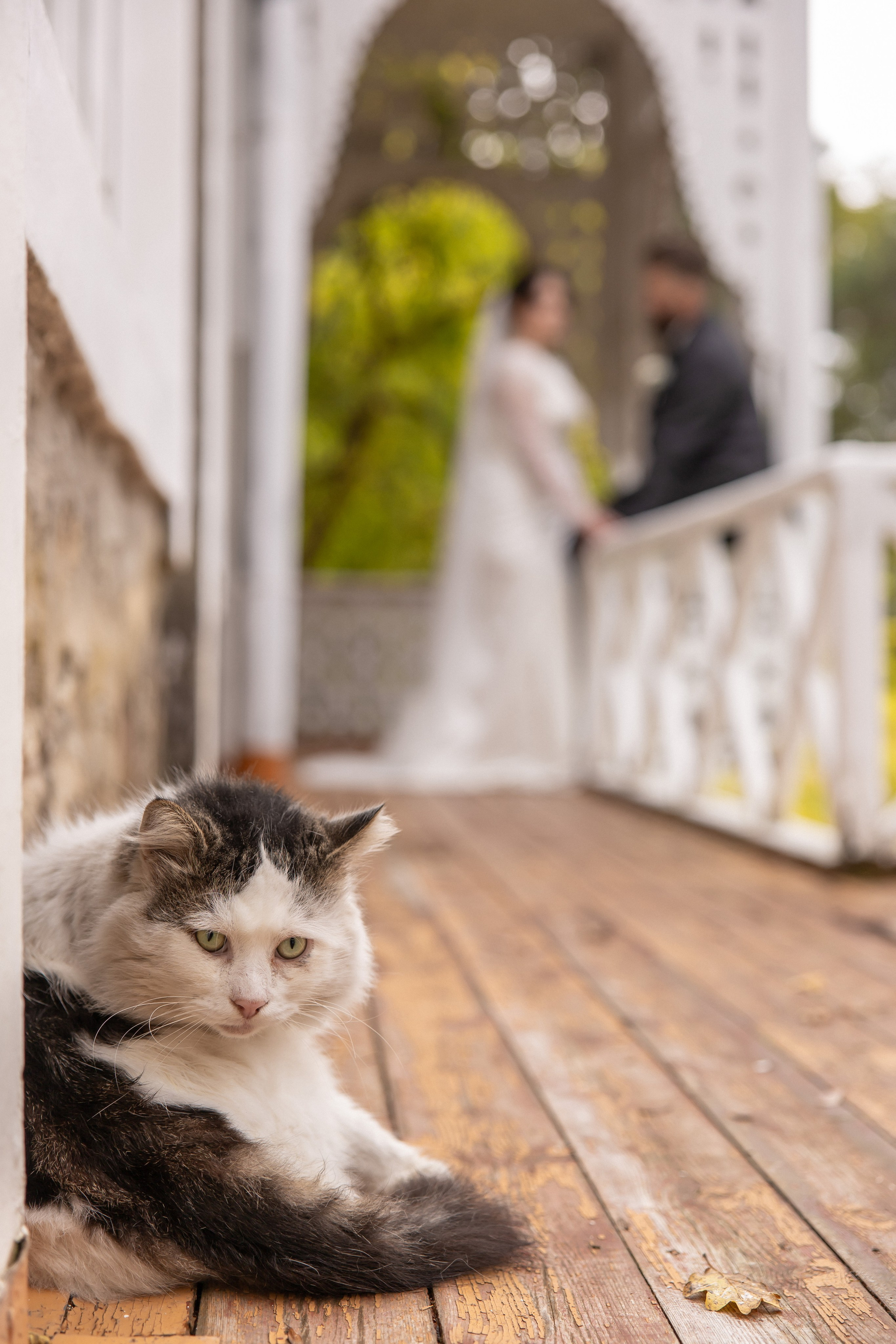 Иван и Настя 25.10.25. Семейный и свадебный фотограф в Геленджике Михаил Шматов