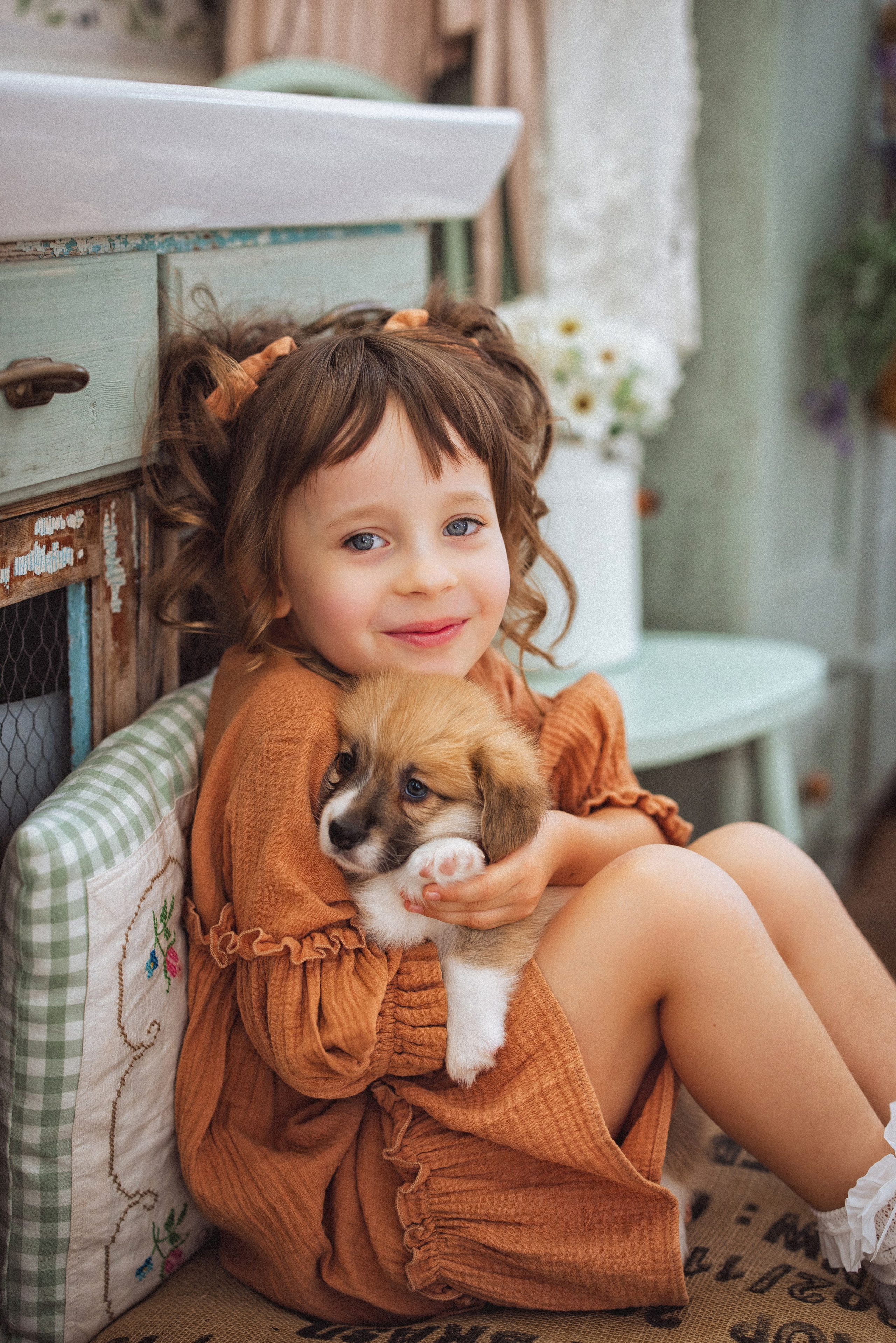 Фотосессия с щенками Корги, в фотостудии Ольги Сурухановой, город Краснодар. Семейный и детский фотограф в Краснодаре Анна Трашкова