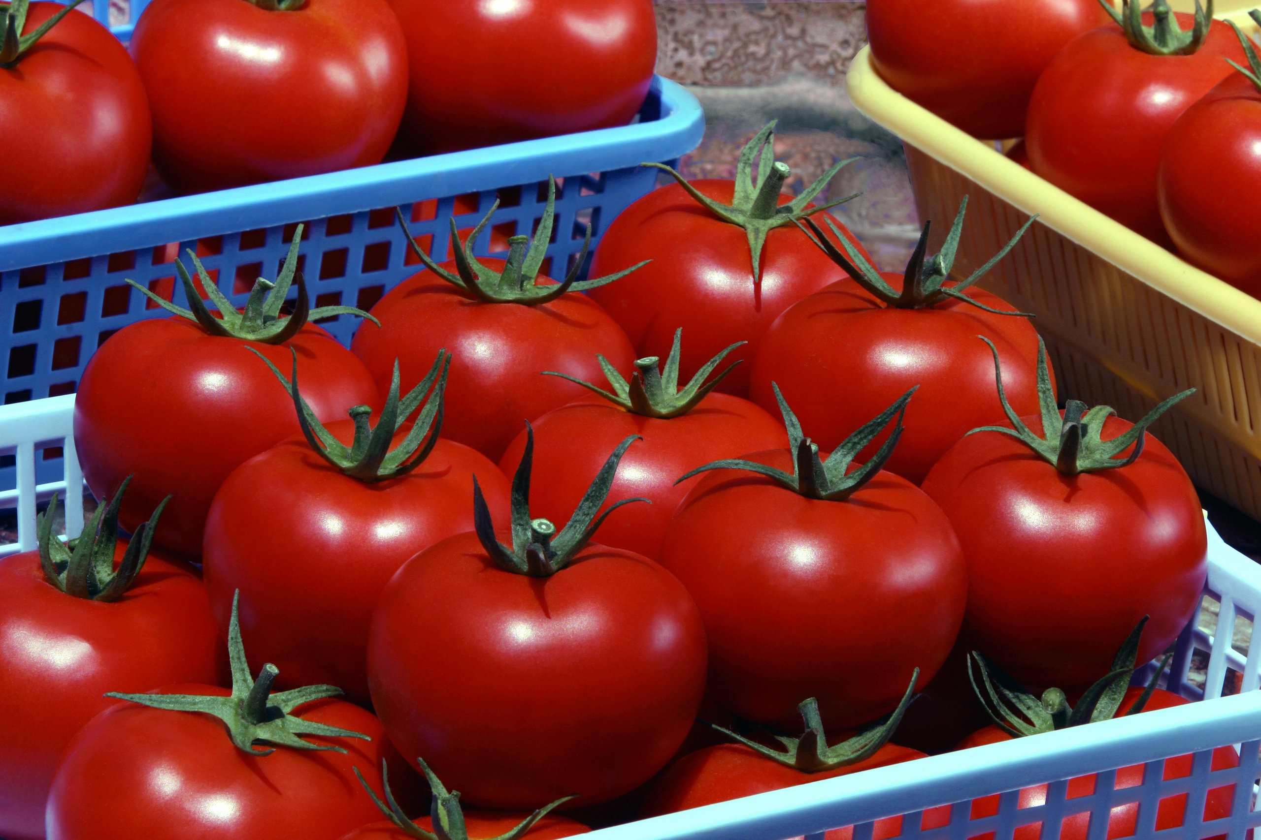 Product photography. The Website of the Photographer Vitaly Deni