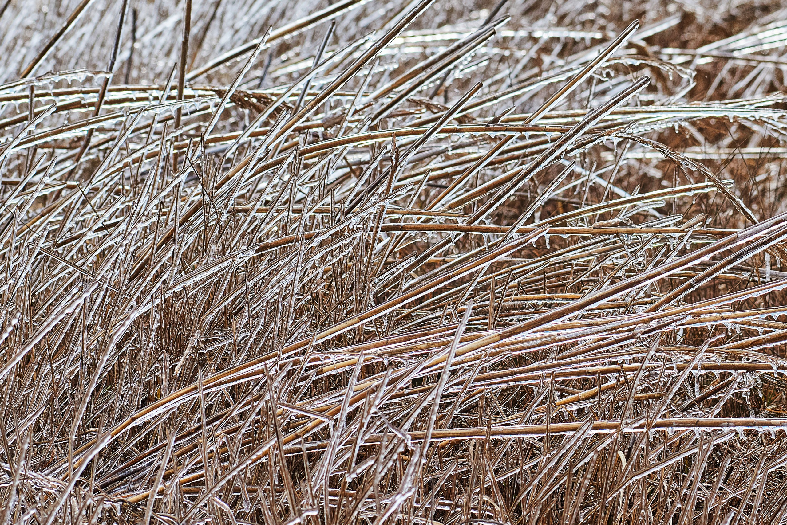 Текстуры и другие фоны. Textures and other. Яркие фото на Чёрном море