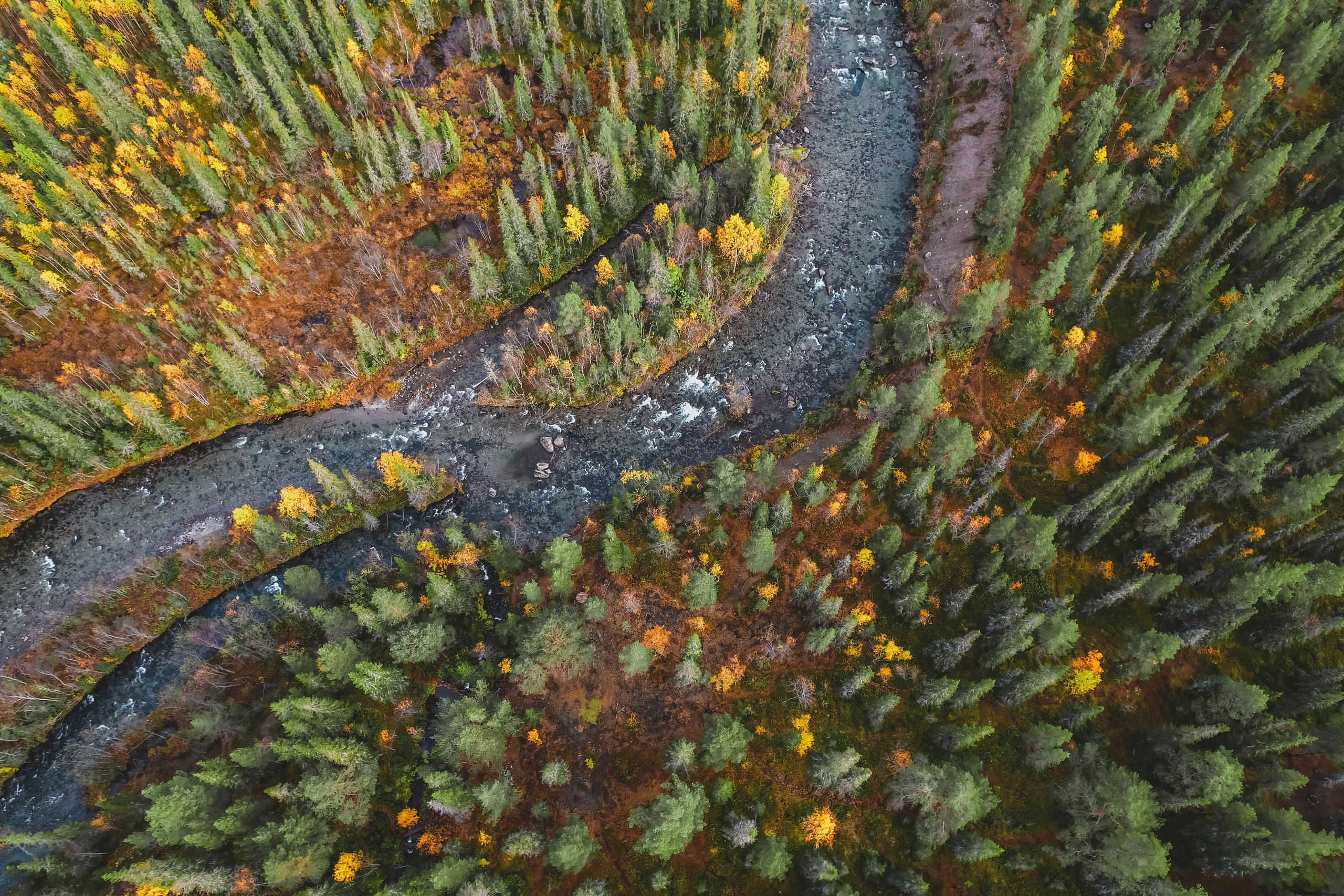 СЕВЕР. Event фотограф Степанова Александра