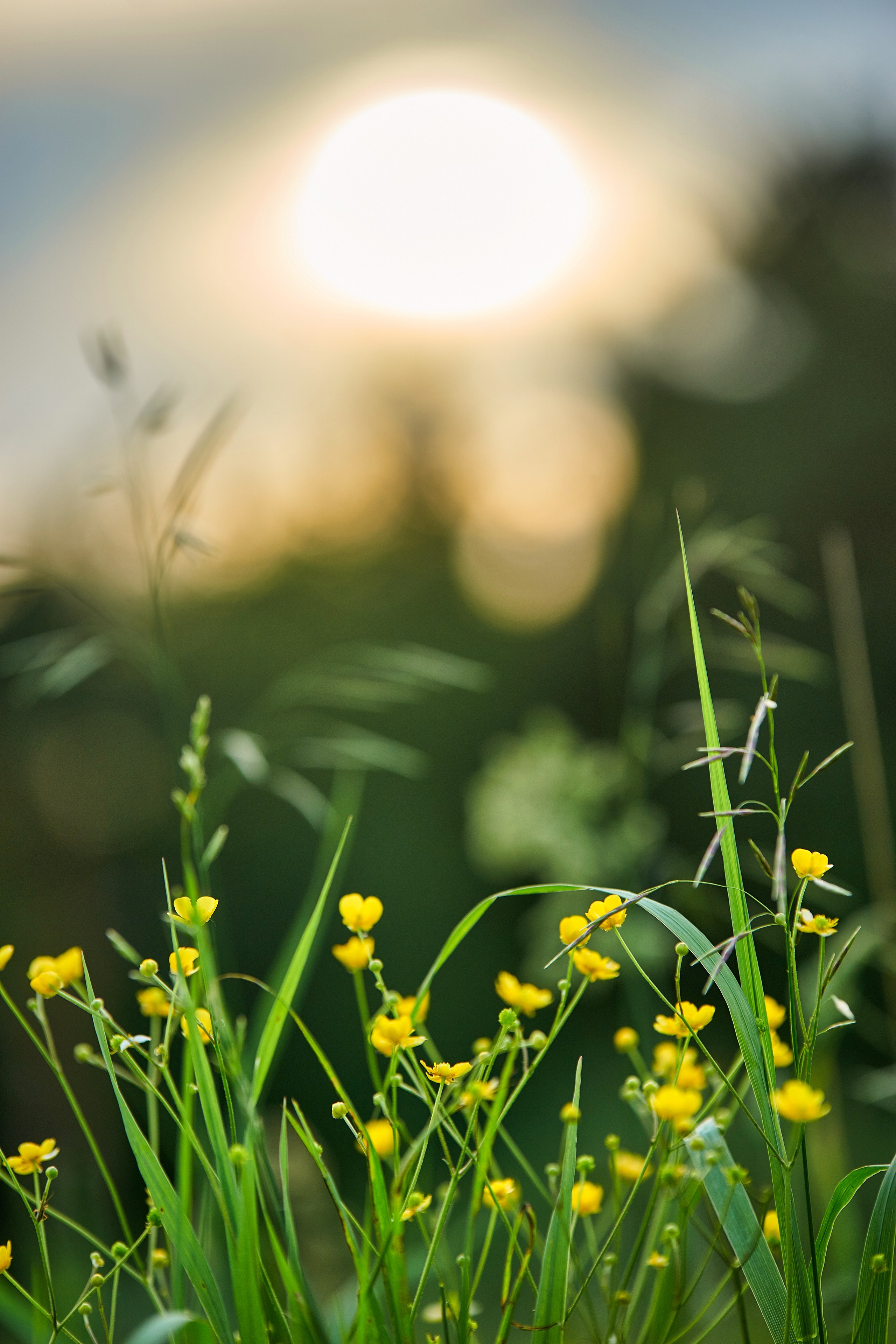 Наша мать — природа. Фотограф Владимир Артамонов