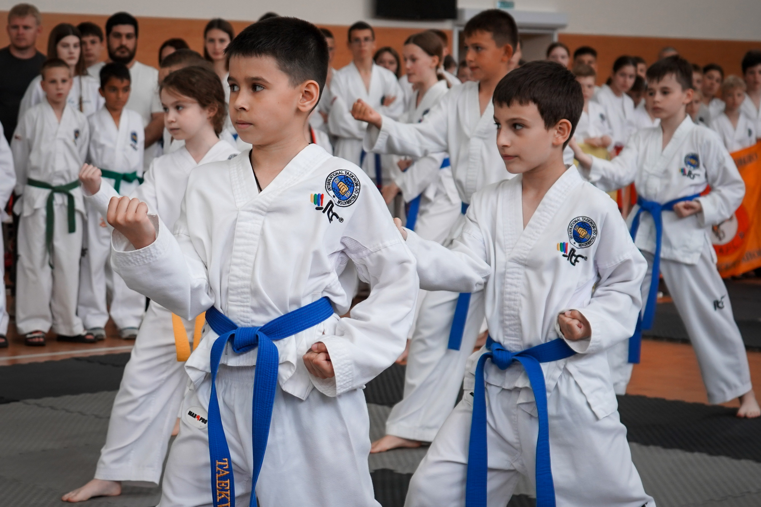 Тхэквандо — соревнования. Выпускные альбомы Натальи Бутко: Новороссийск, Анапа, Геленджик