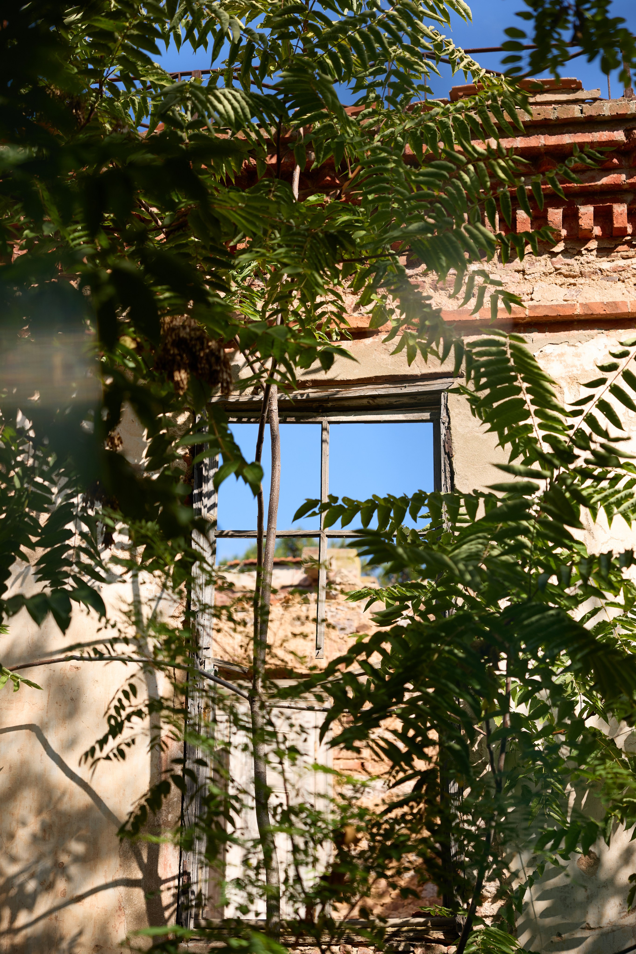 Стамбул 24. Фотограф Москва, Дима Пеллер