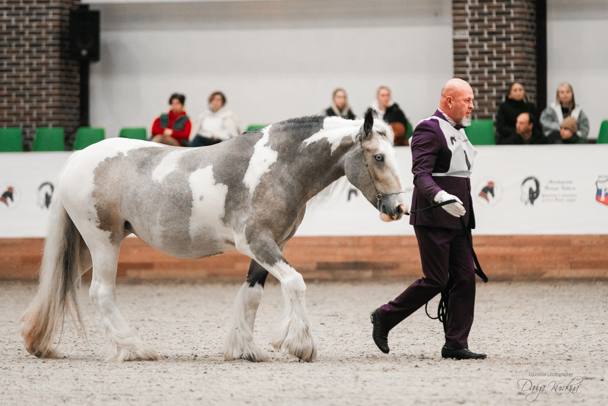 8-я международная выставка Конная Россия. Конный фотограф Куракина Дарья • Фотосессии с лошадьми