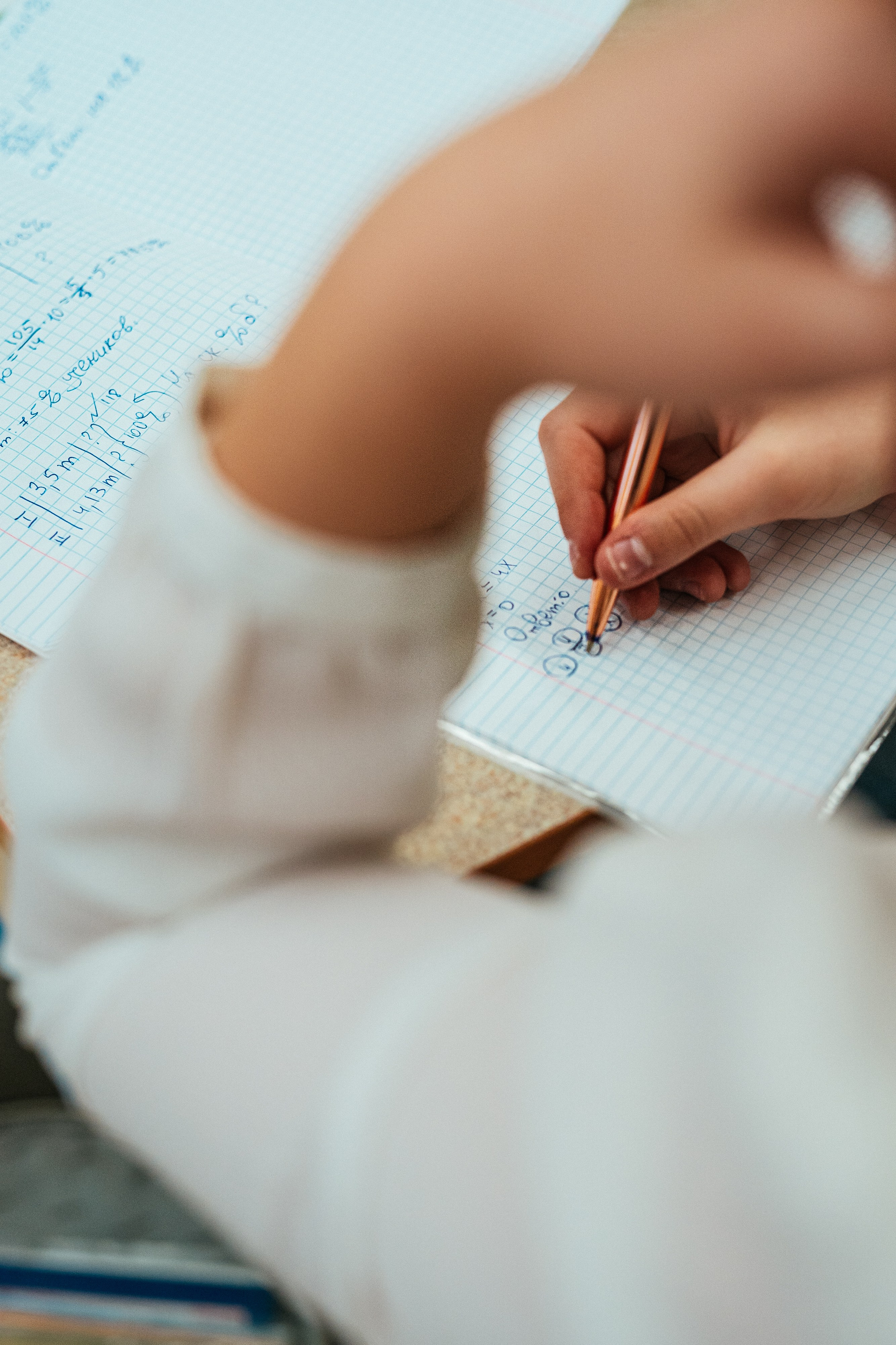 6 класс. Школьные альбомы и альбомы для детского сада. Юлия Осипова. Москва