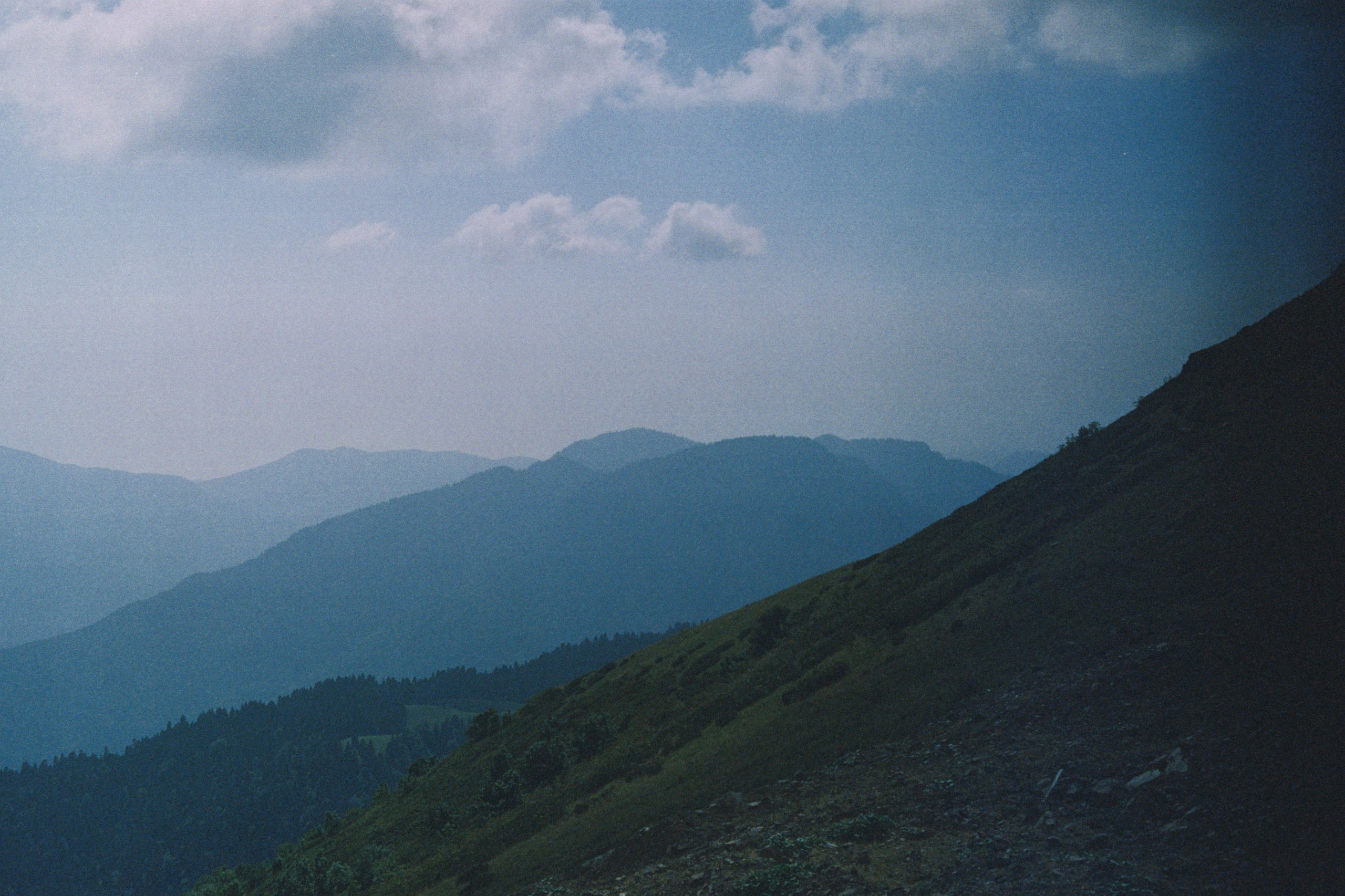 Sochi \ august 2022 \ film 35. Коммерческий Фотограф Виктор Фоменых
