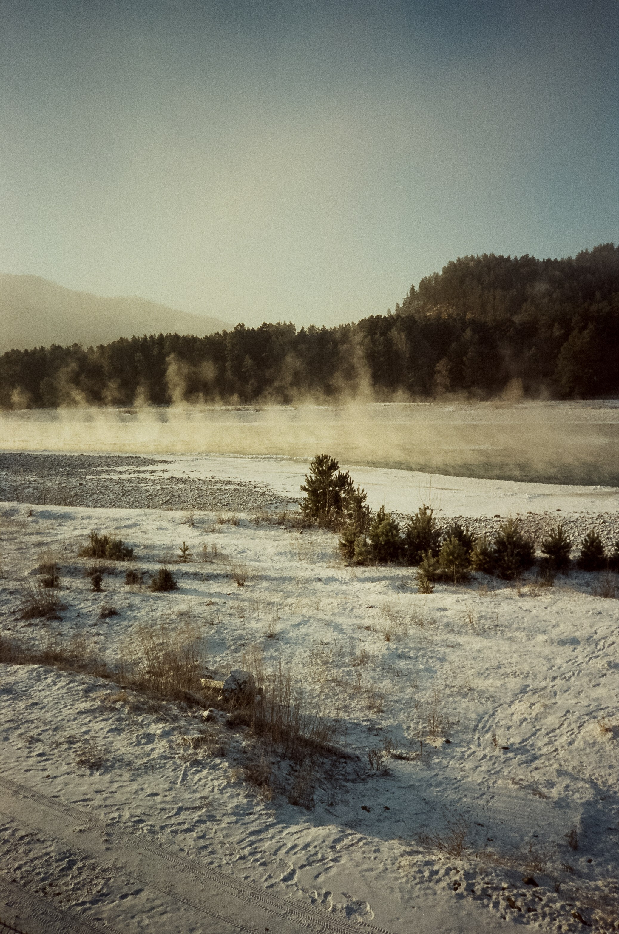 Утро в Манжероке и кафе-автобус Coffee Bus на Чемальском тракте. Фотограф-документалист Мария Осокина