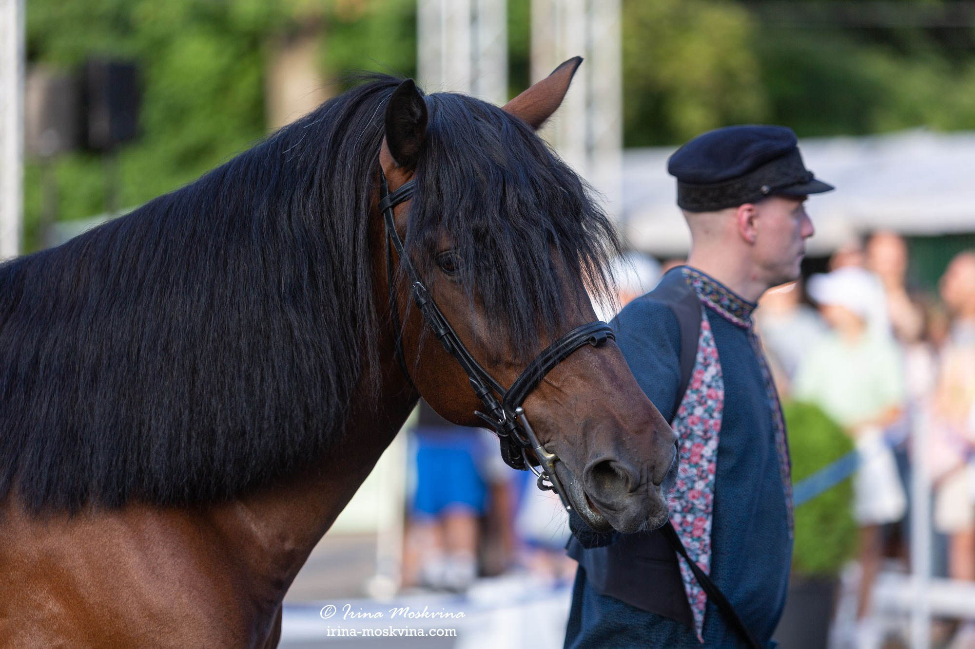 Мезенская порода