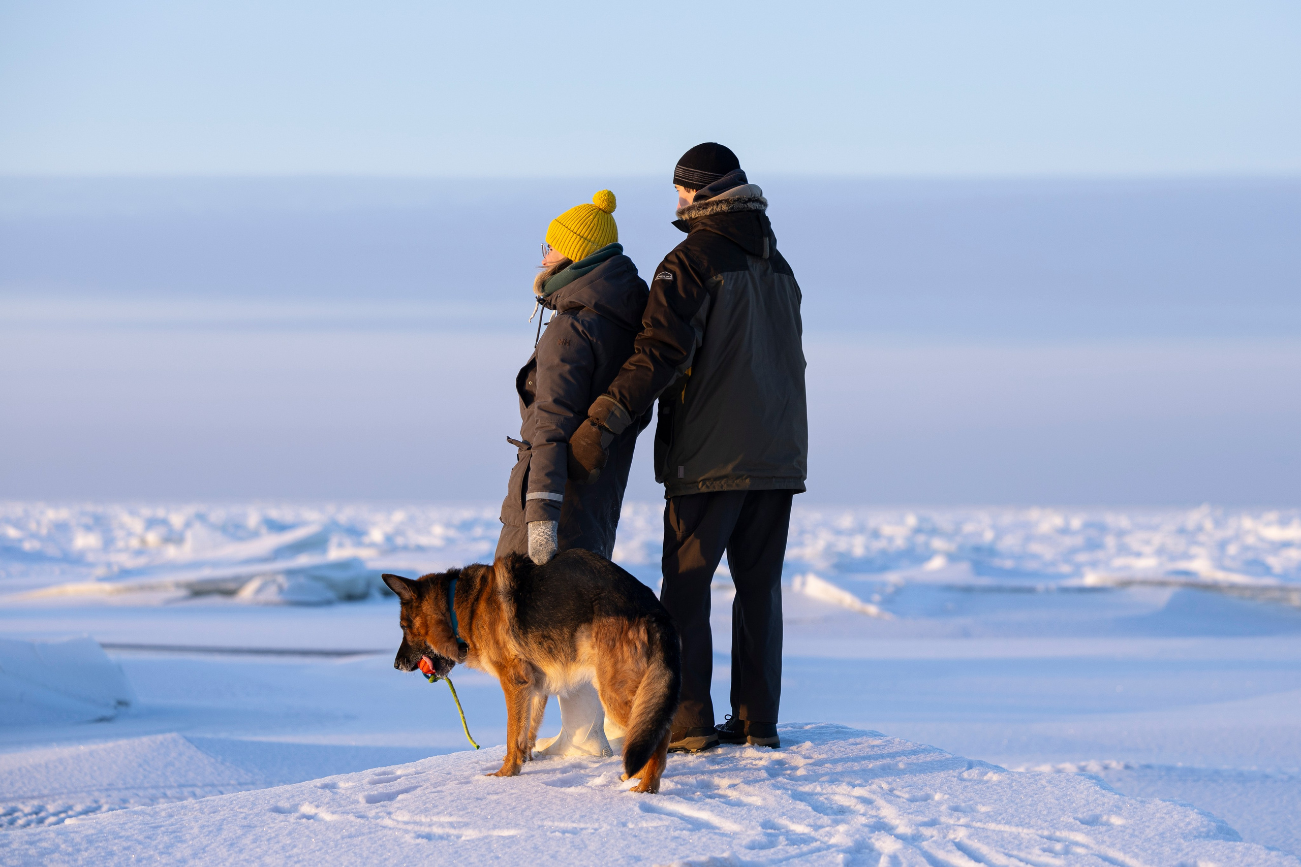 Рейн. Фотограф-анималист Анна Маринич