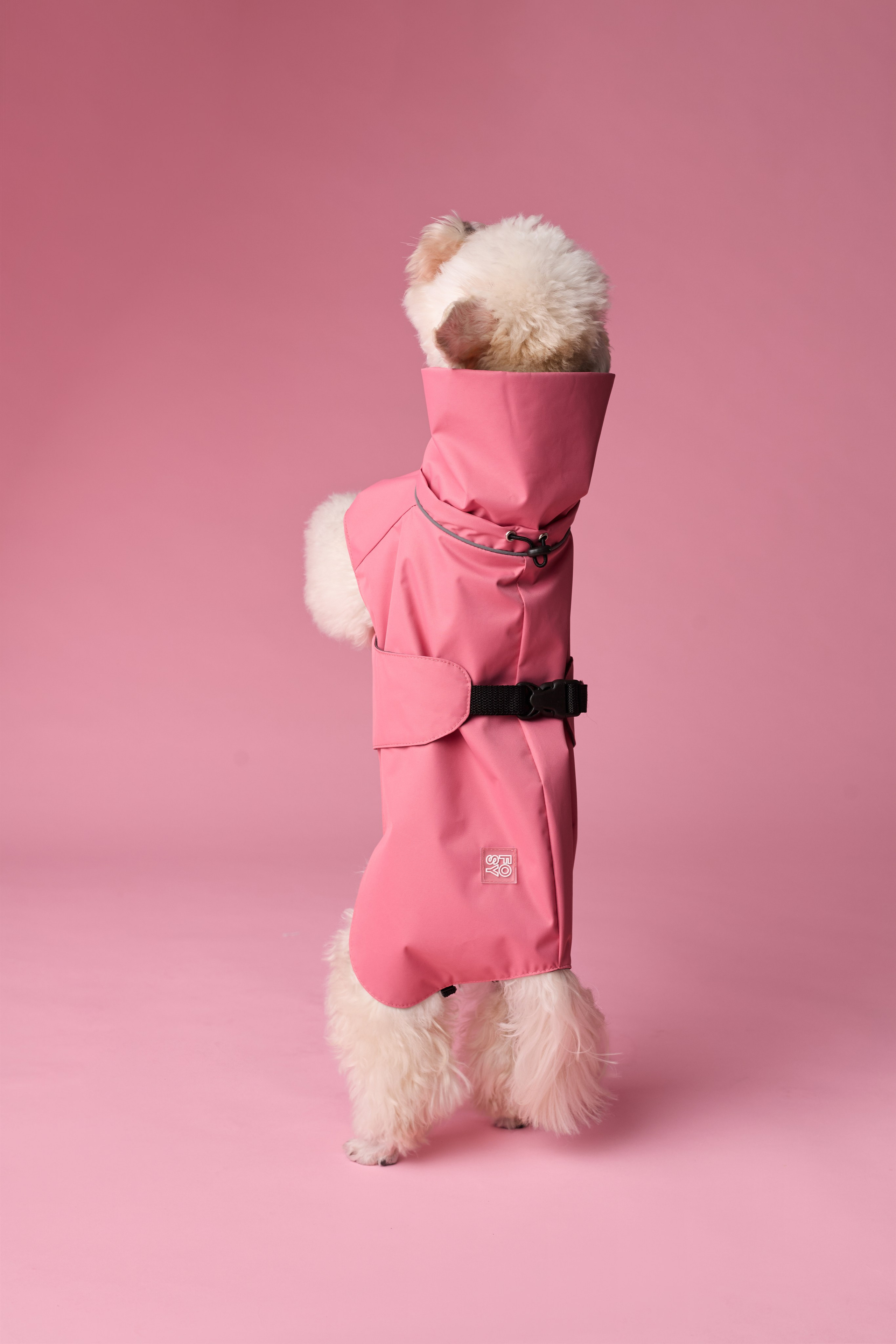 FOSY. Фотограф|Москва-СПб| Анастасия Рябинина