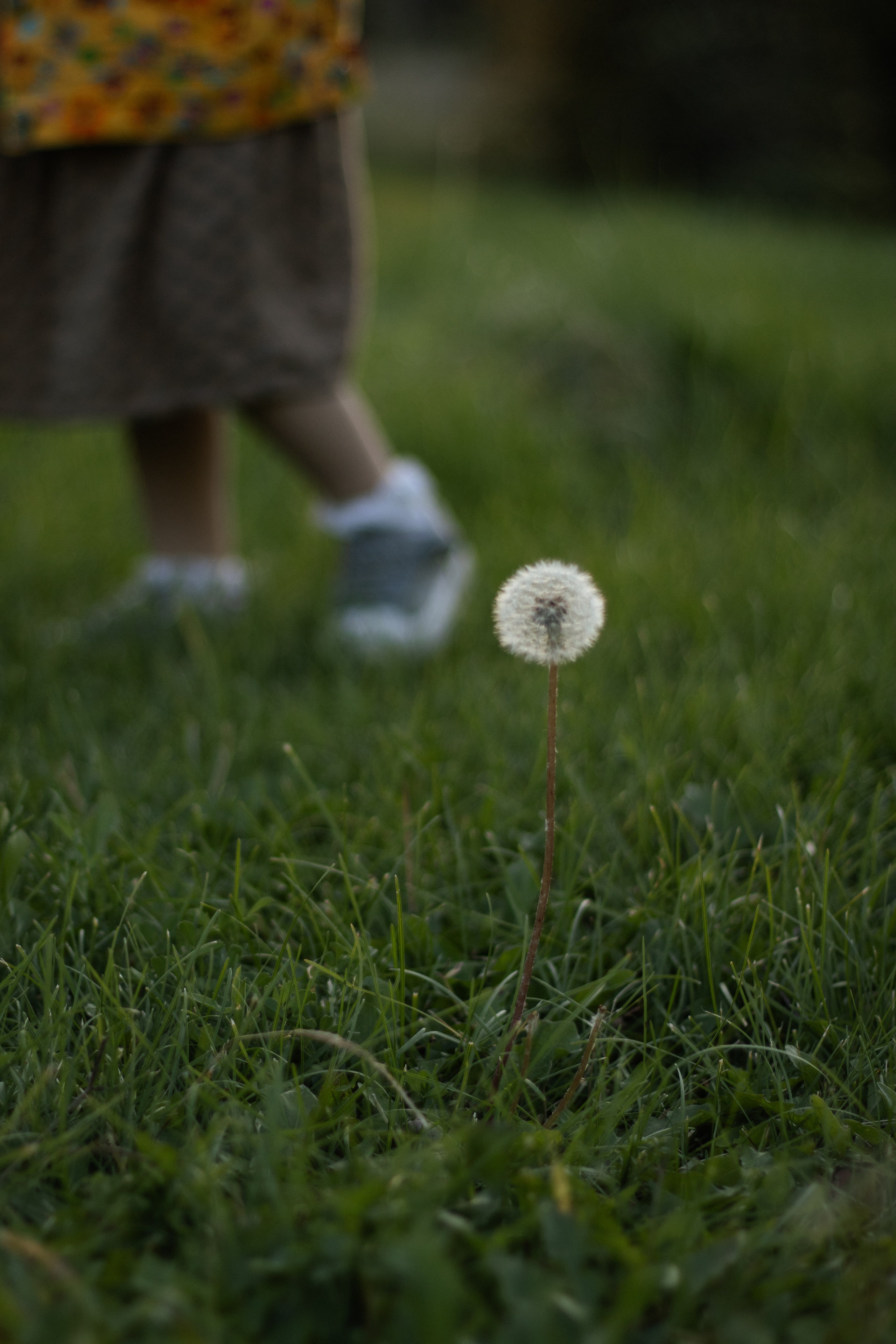 Natasha + Eva. Lusy Redina | Семейный Фотограф | Волгоград
