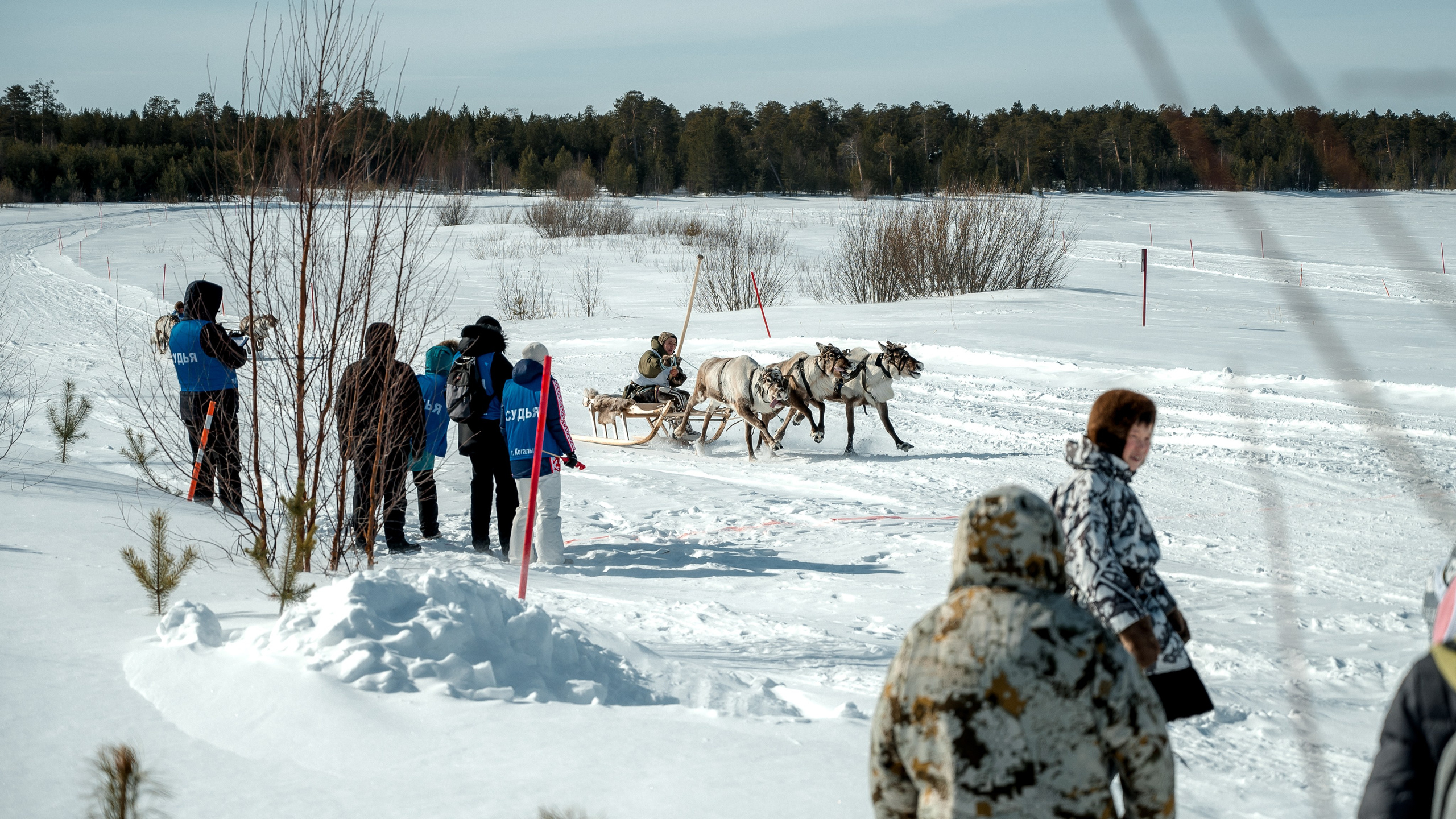 День оленевода г. Когалым. Фотограф Нижний Новгород