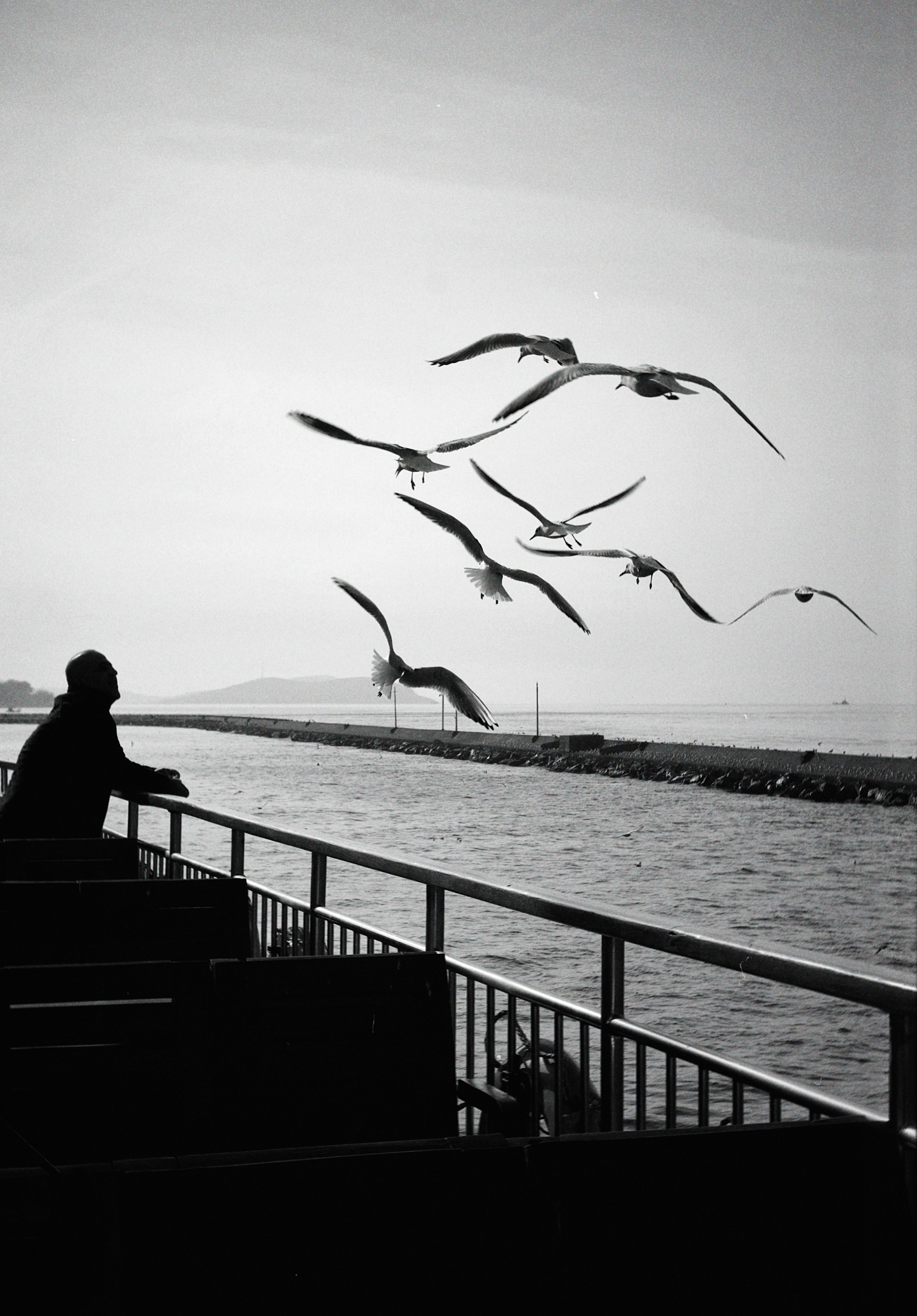 Стамбул. Татьян гертье