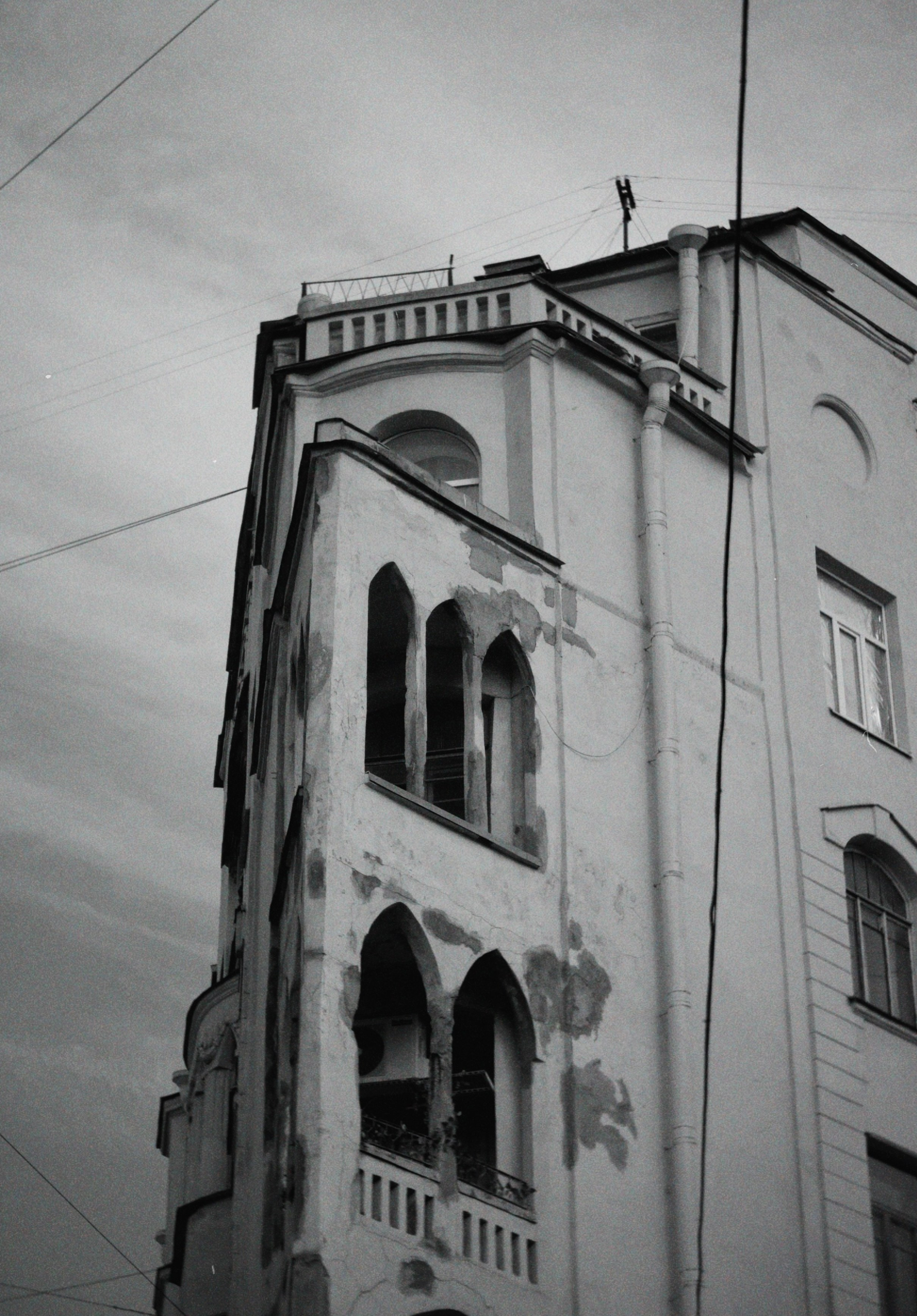 Петербург. Татьян гертье