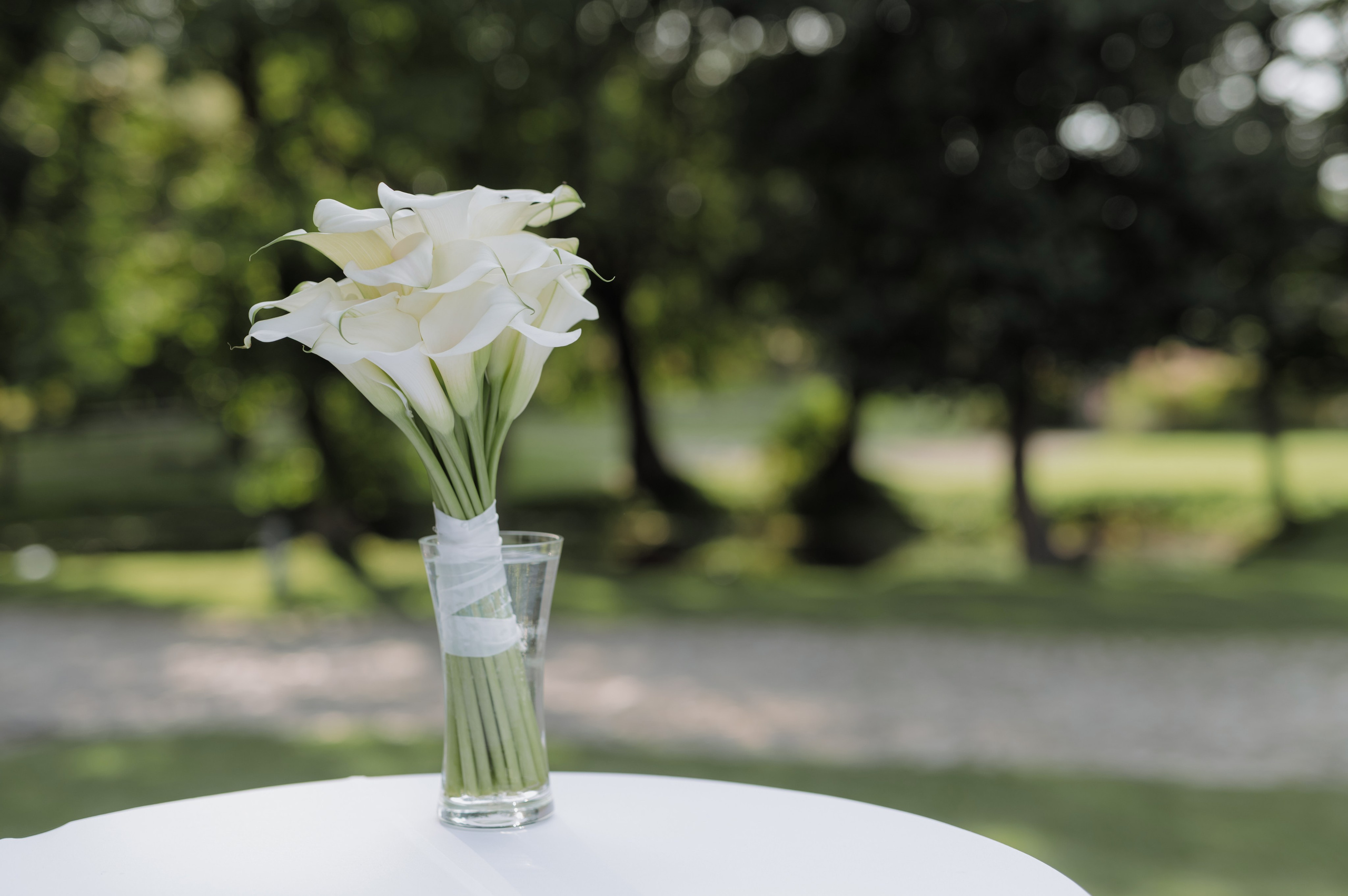 Evgeniy|Veronika. Свадебный фотограф в Минске и Санкт-Петербурге Вероника Аксенова