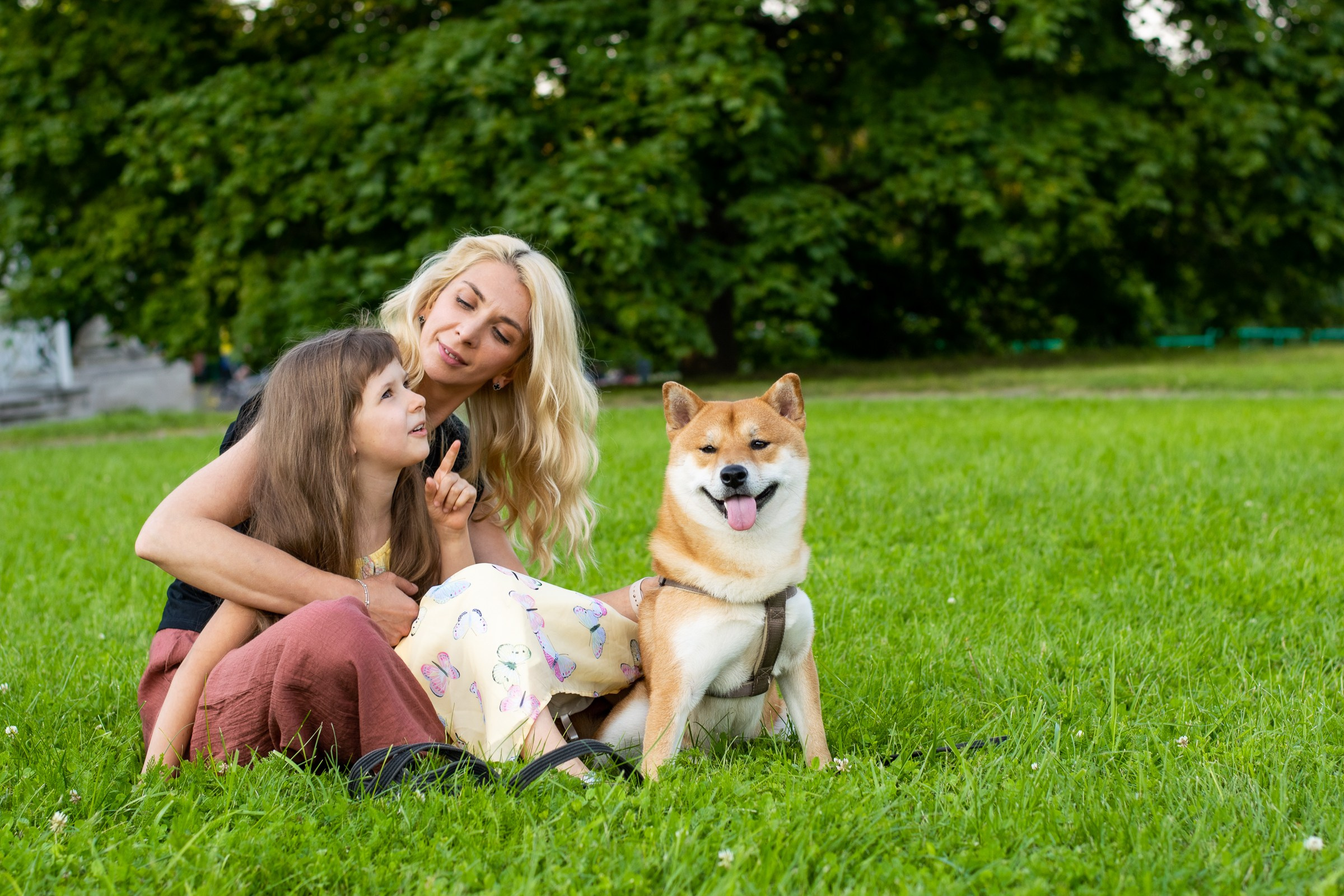 Семейные. Фотограф в Минске