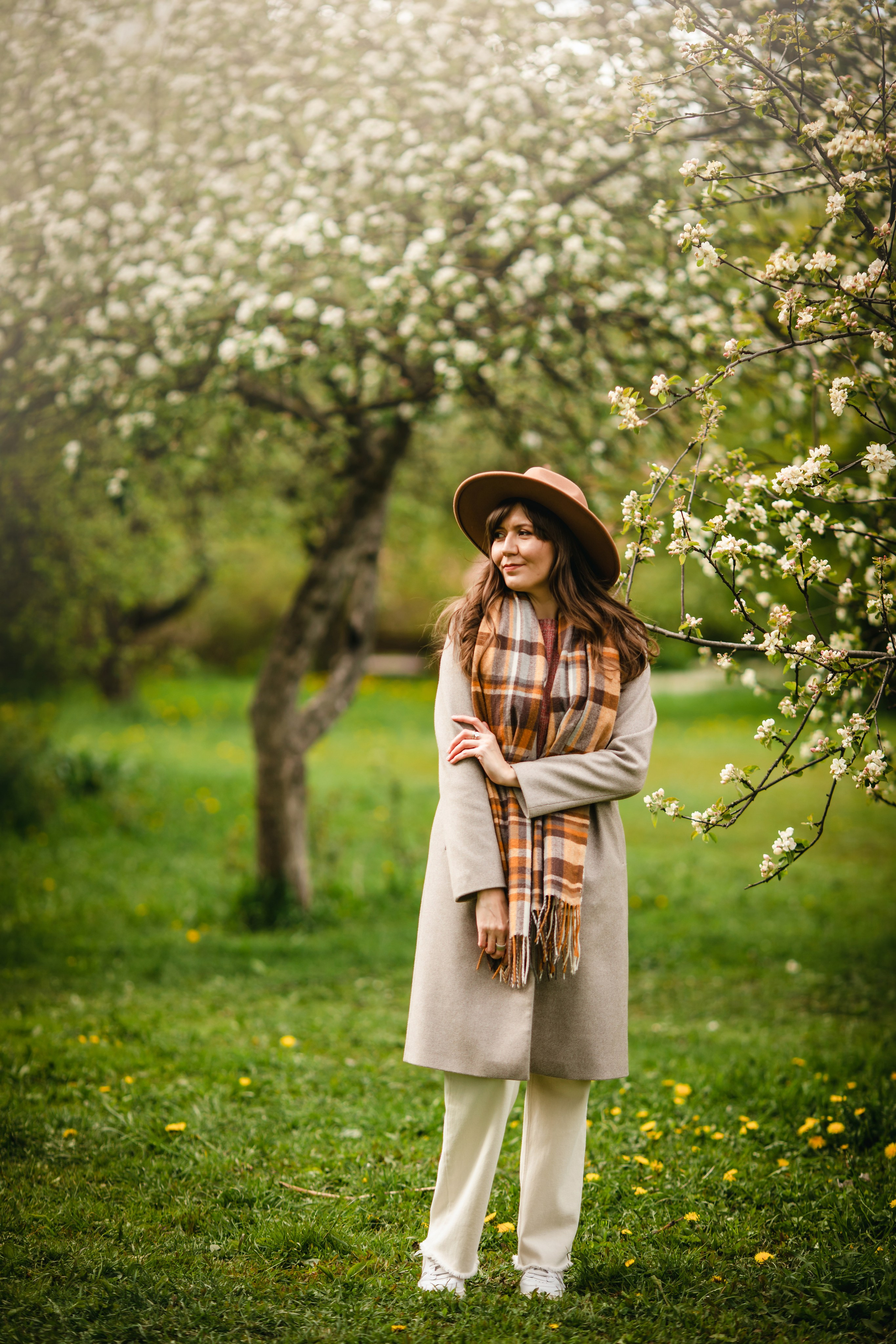 Яблони в цвету. Olga.filippova.photo