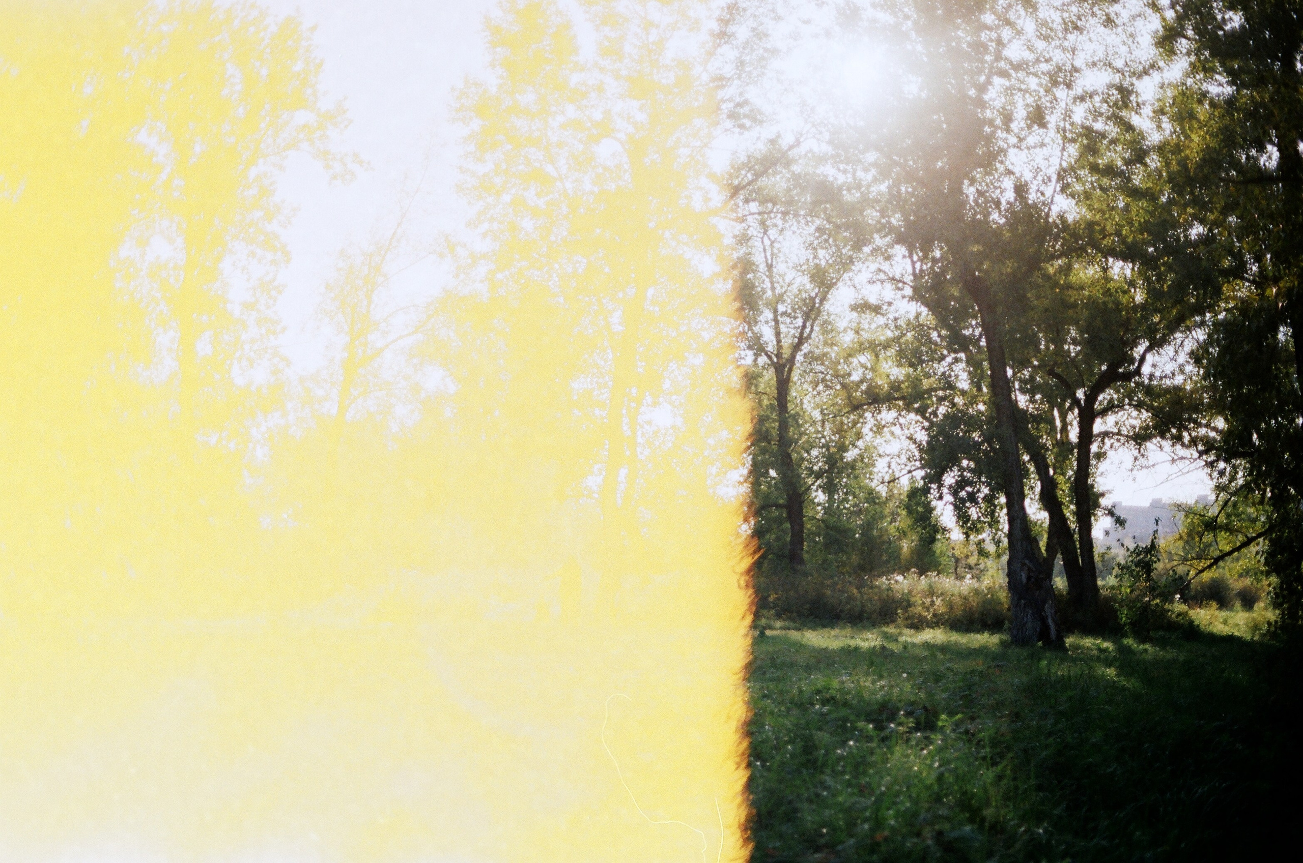 Spaces and faces 2013-∞. Наталья Рутова